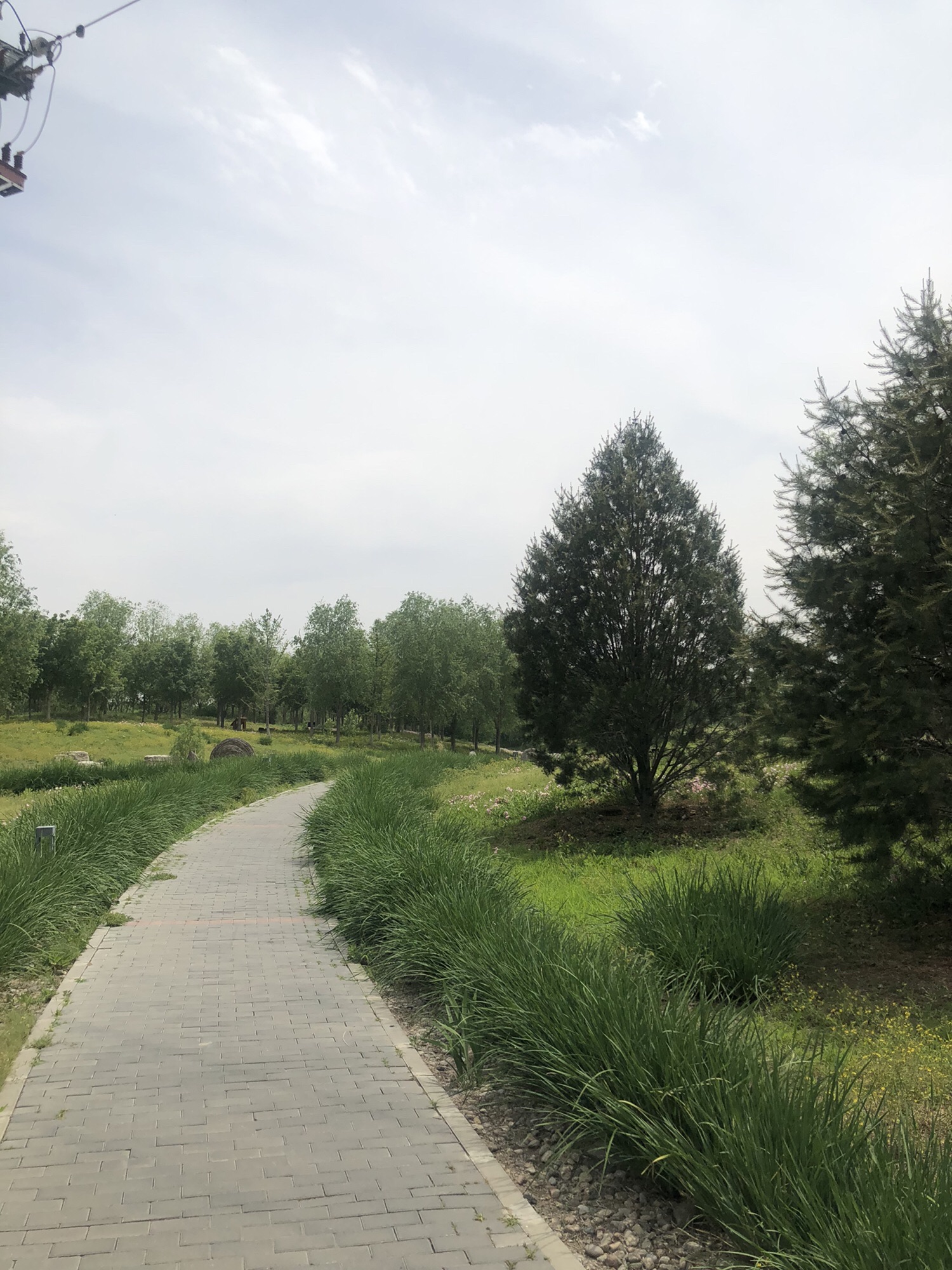 久敬庄公园旅行图片 1