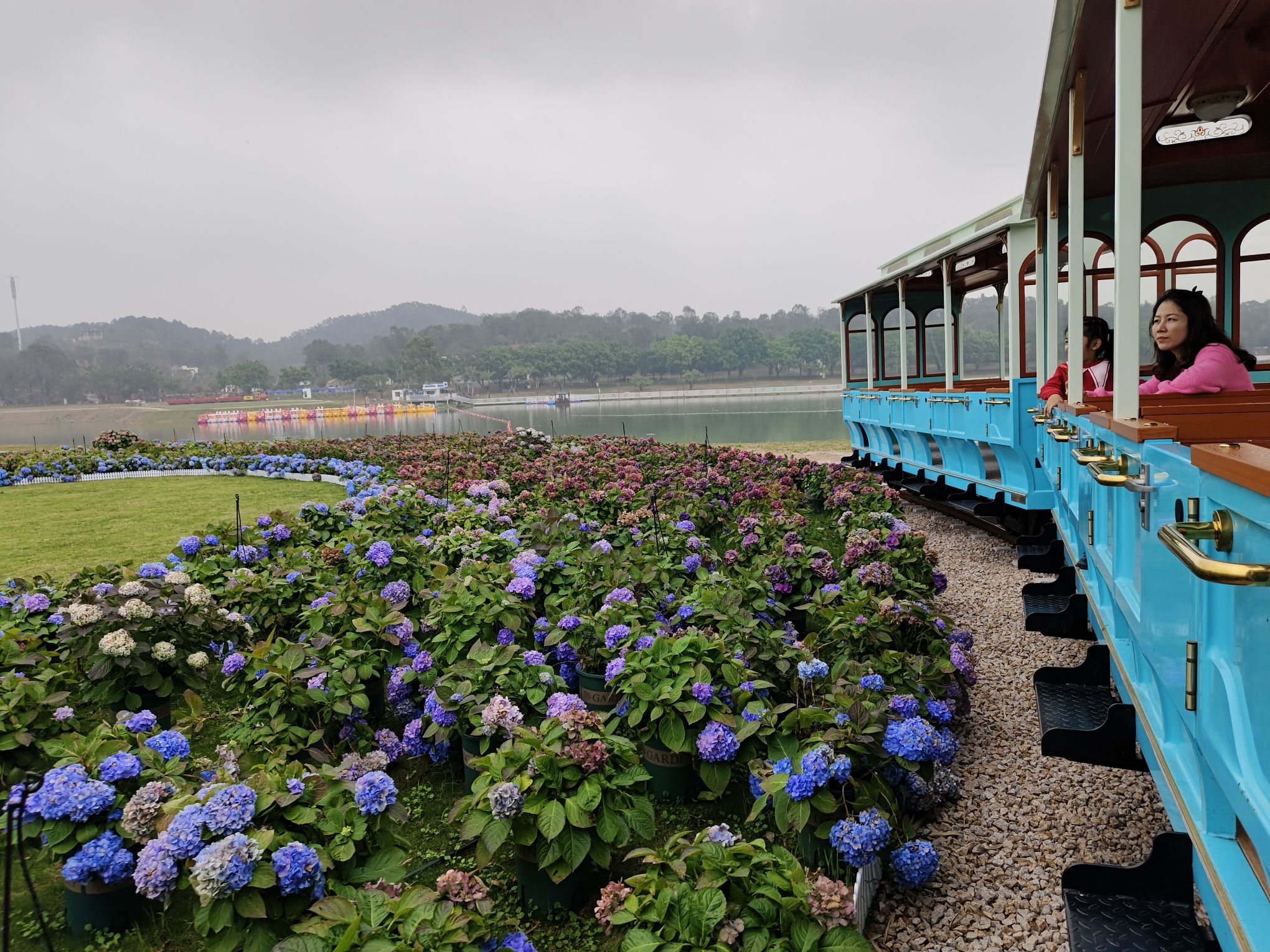 广州花都马岭观花植物园旅行图片 3