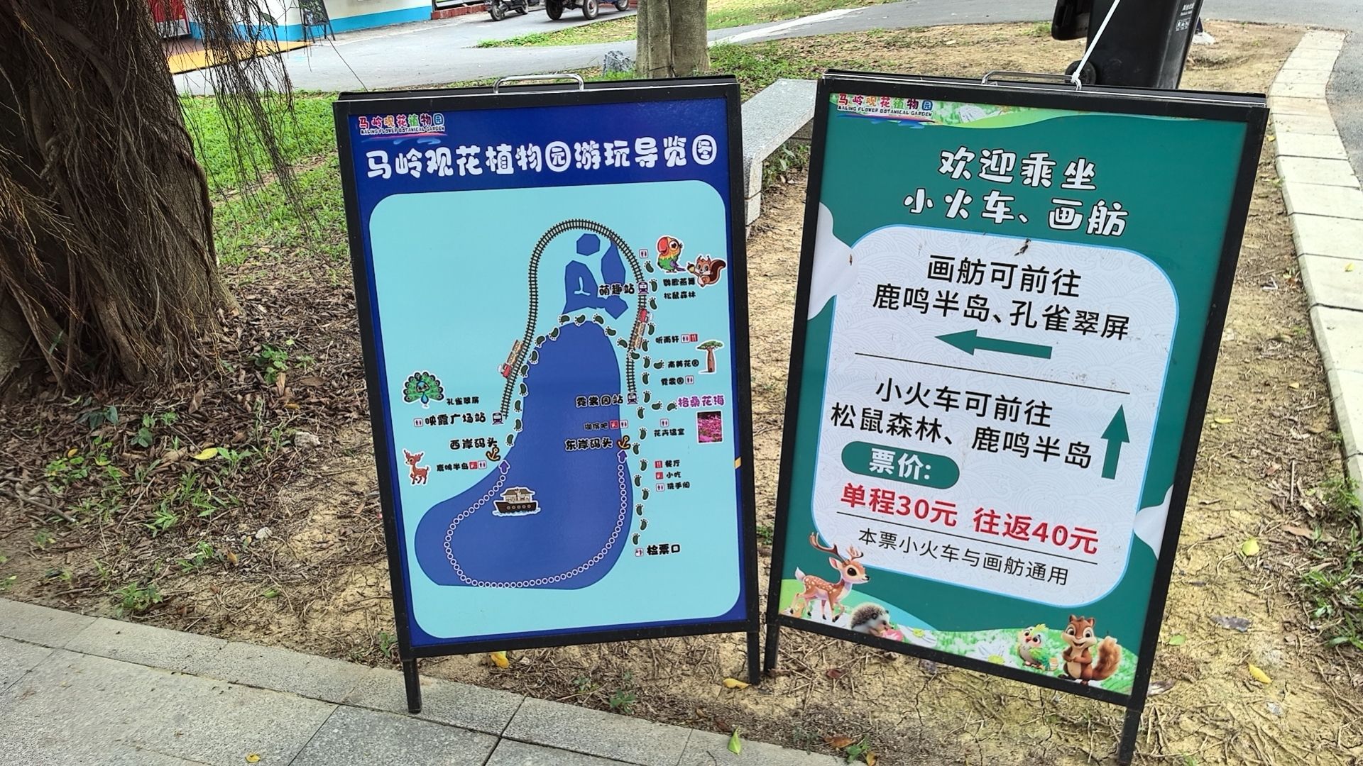 广州花都马岭观花植物园旅行图片 2