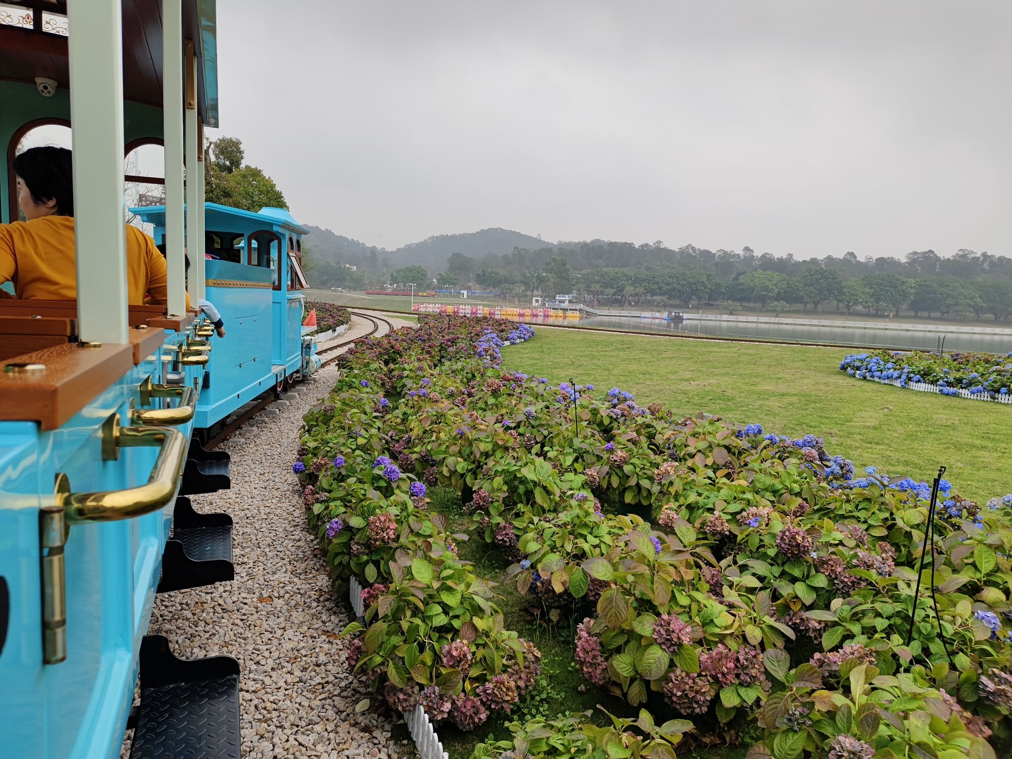 广州花都马岭观花植物园旅行图片 2