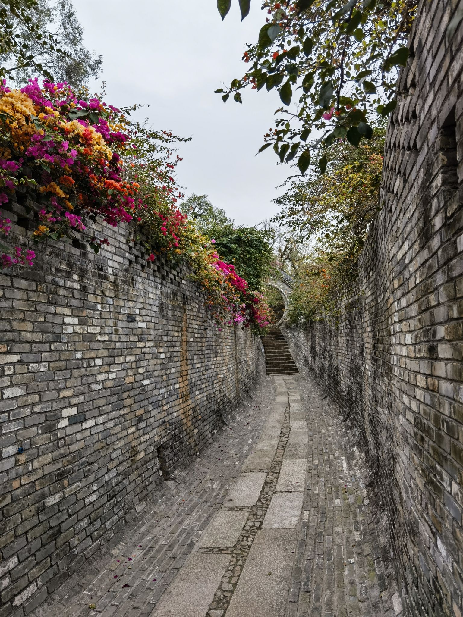 广州花都马岭观花植物园旅行图片 3