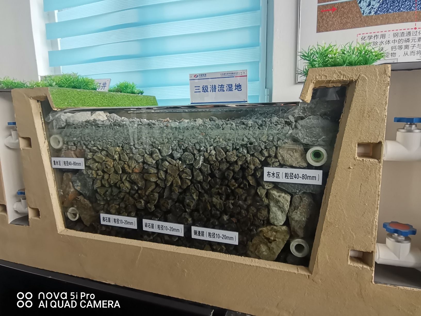 府河河口湿地旅行图片 2