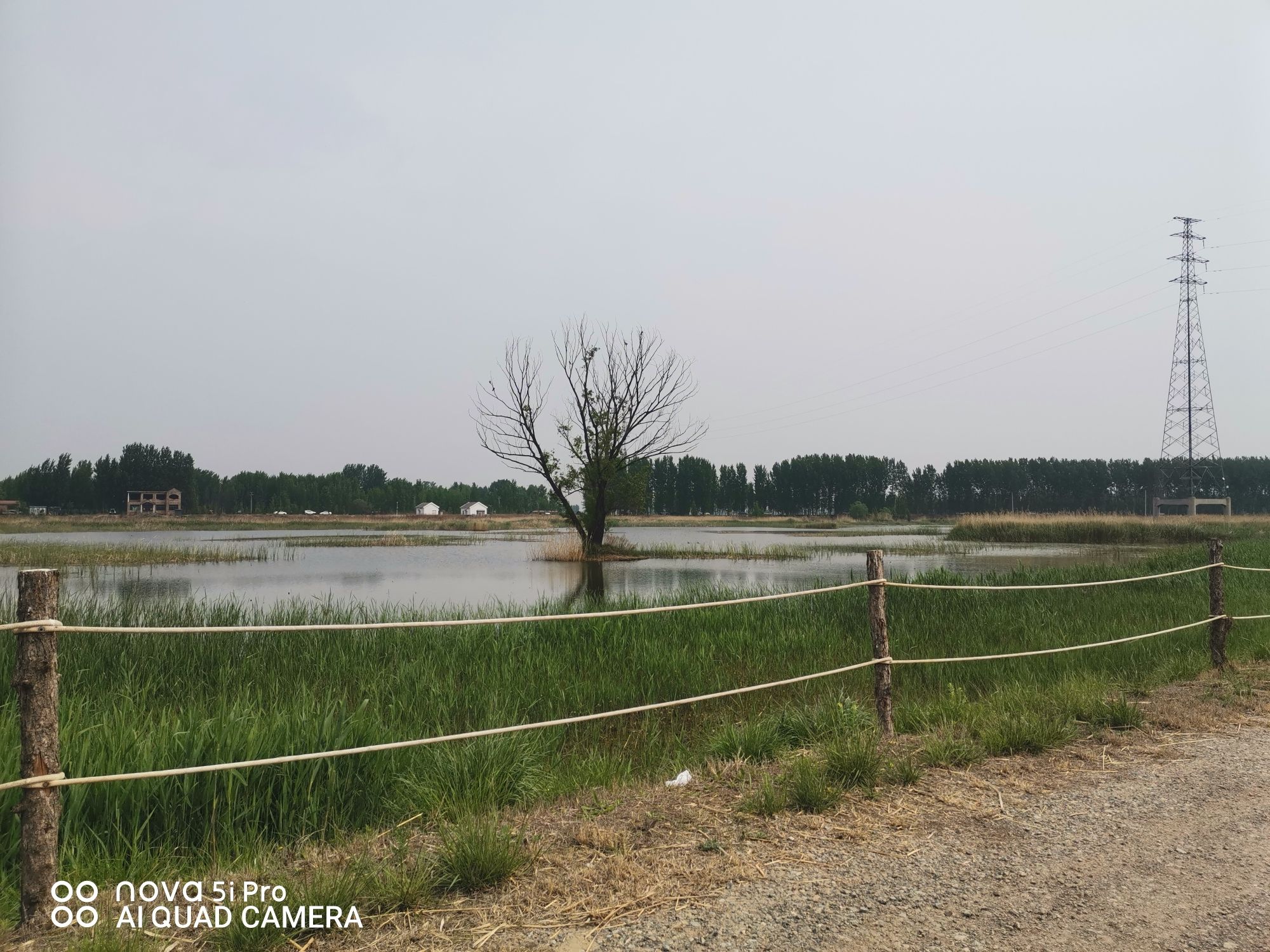 府河河口湿地旅行图片 3