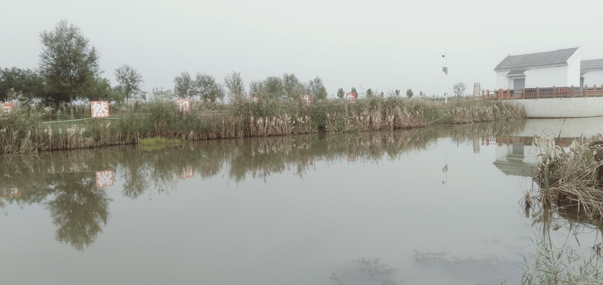 府河河口湿地旅行图片 3