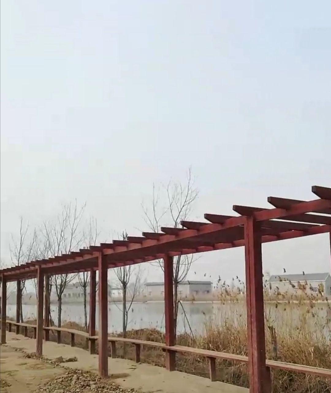 府河河口湿地旅行图片 2