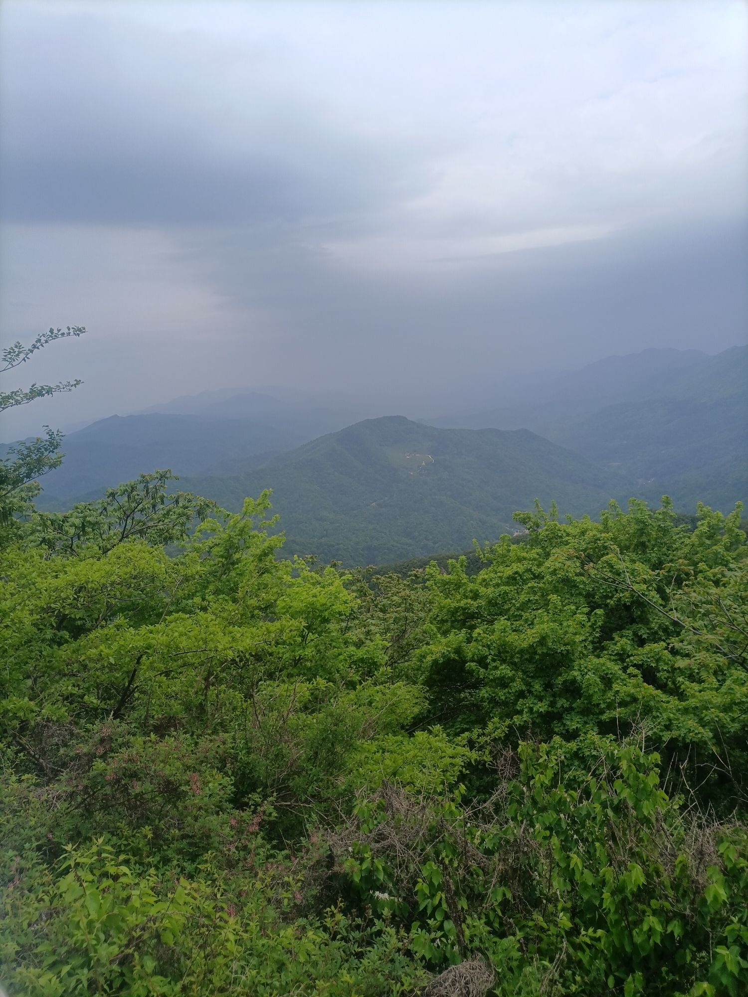 府河河口湿地旅行图片 2