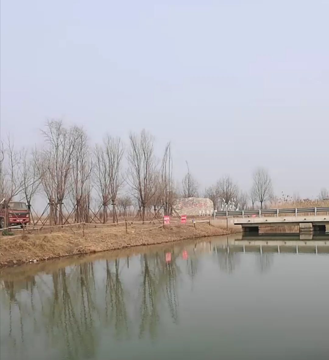府河河口湿地旅行图片 1