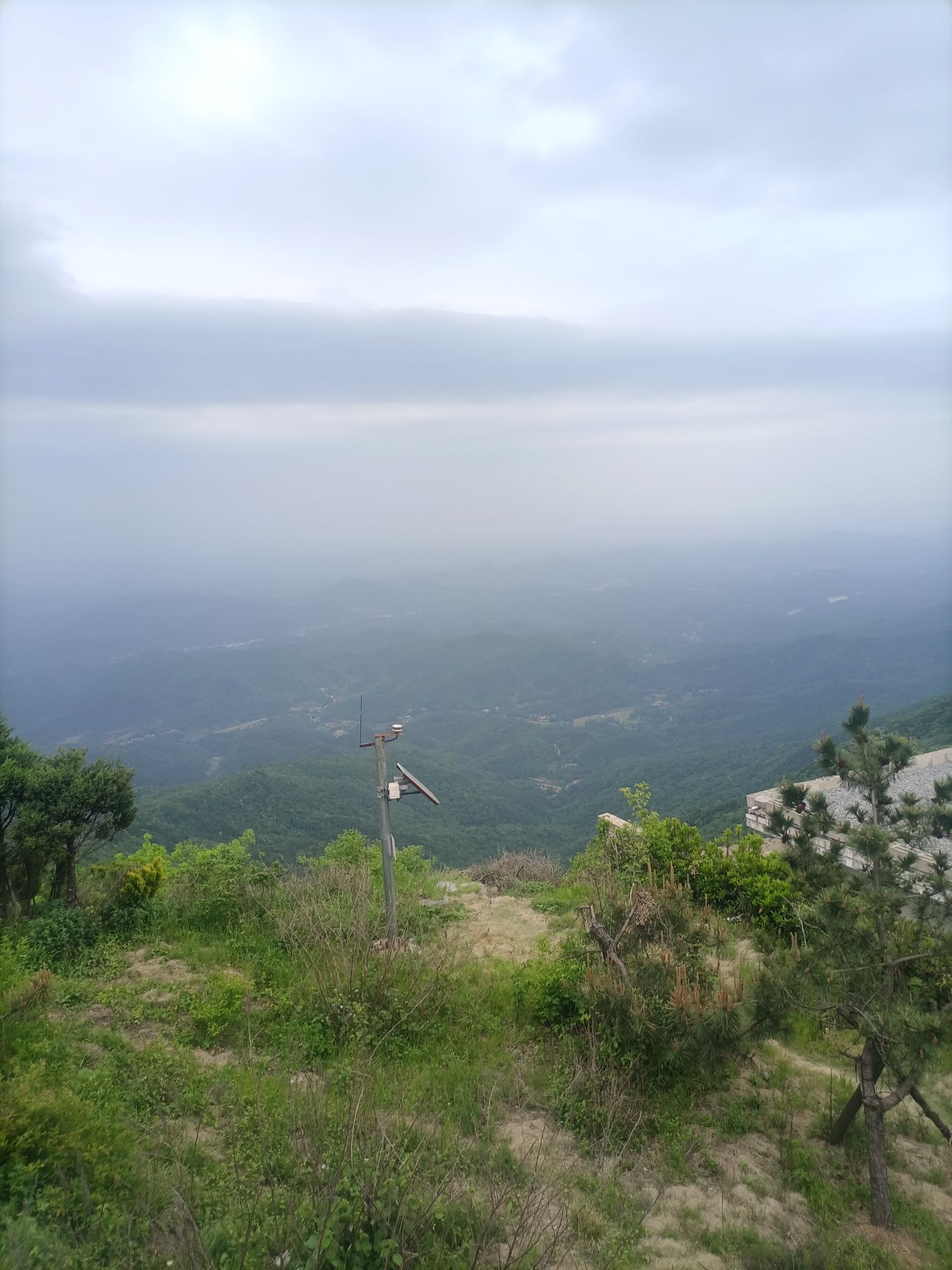 府河河口湿地旅行图片 1