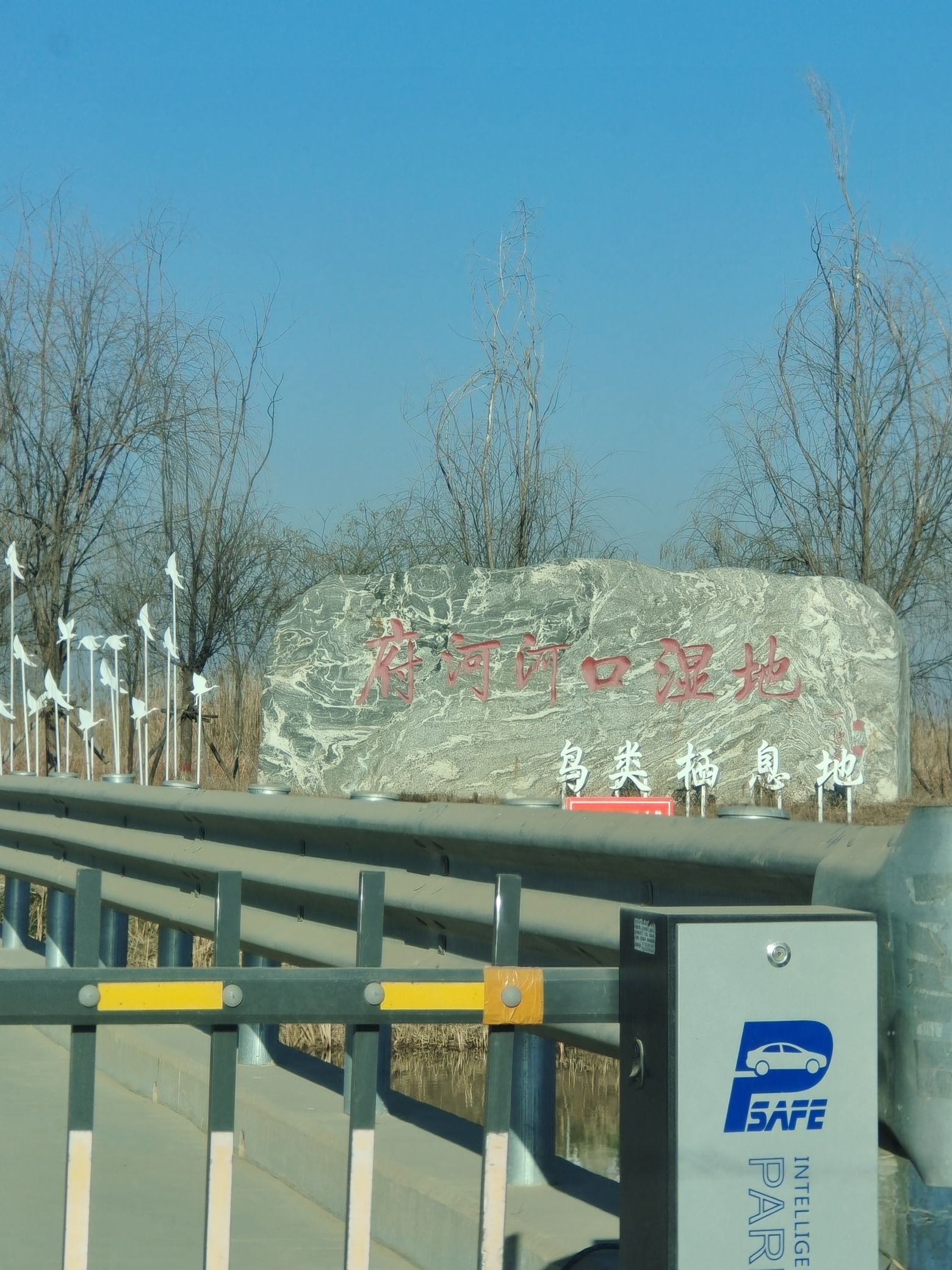 府河河口湿地旅行图片 1
