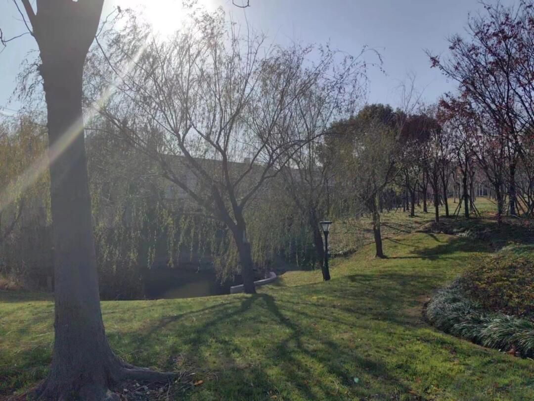 前滩体育公园旅行图片 2