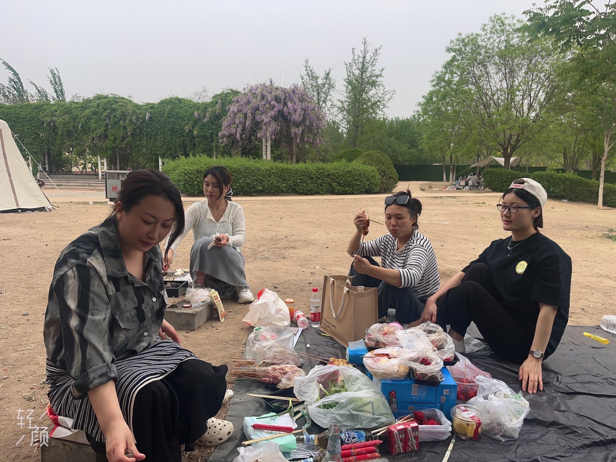 东丽海河公园旅行图片