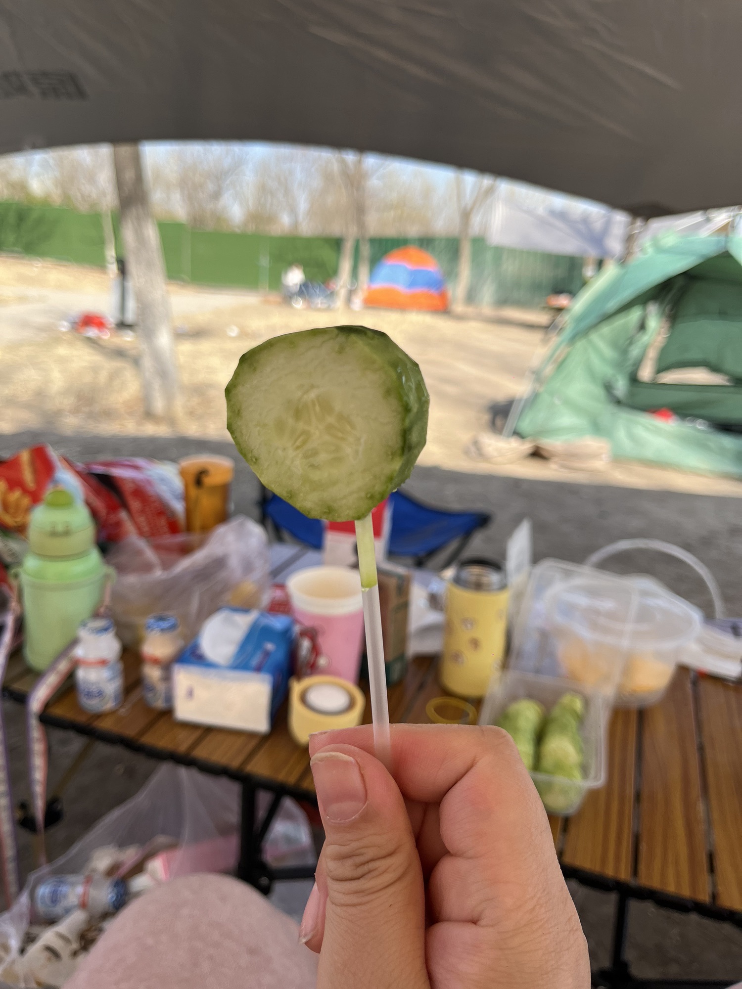 东丽海河公园旅行图片