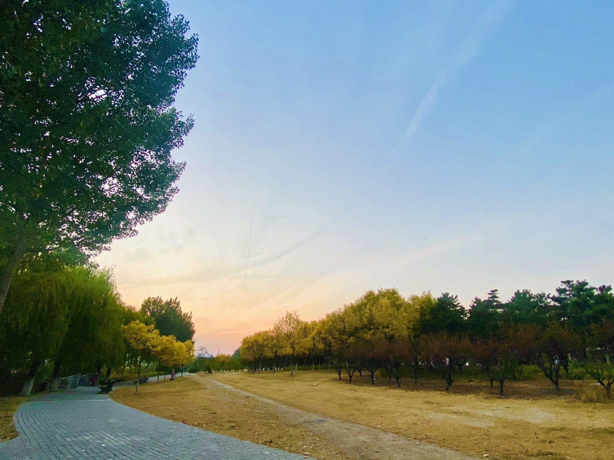 东丽海河公园旅行图片
