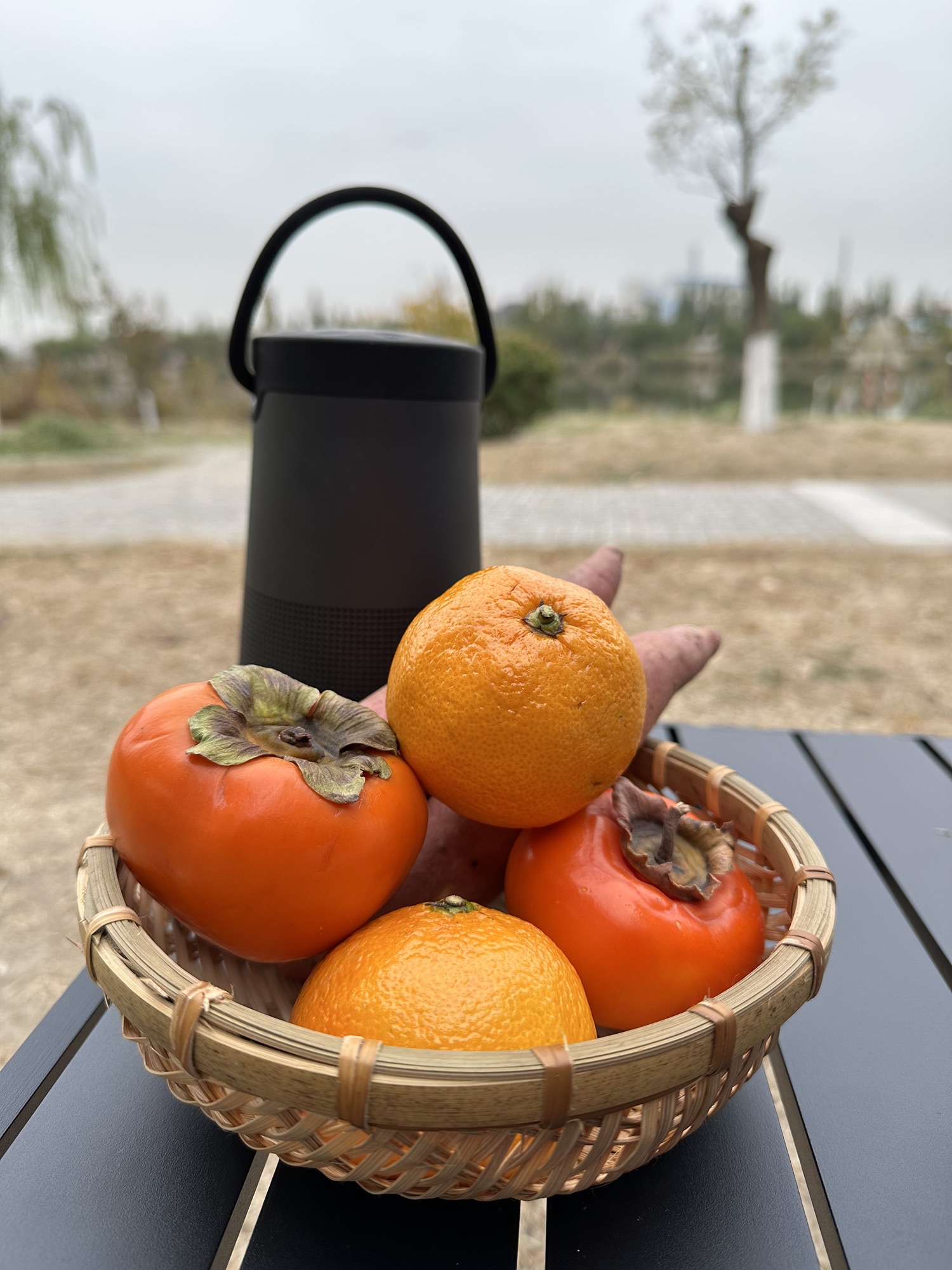 东丽海河公园旅行图片 2