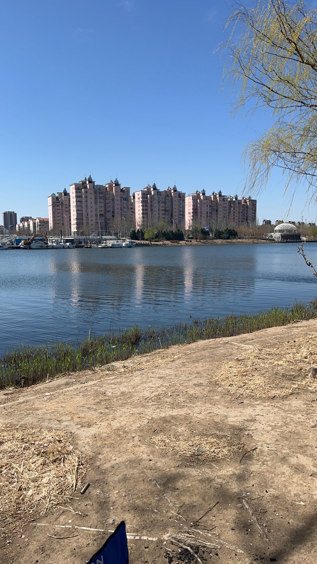 东丽海河公园旅行图片 2