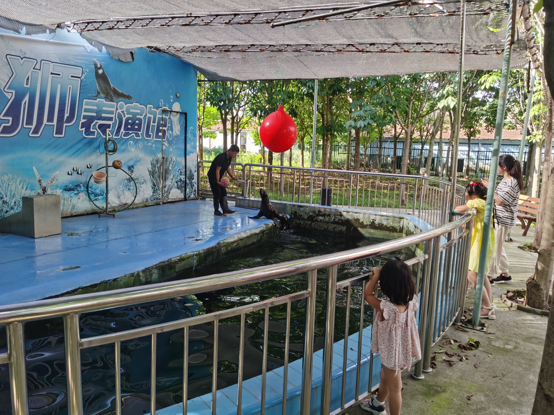 江天动物园旅行图片 2