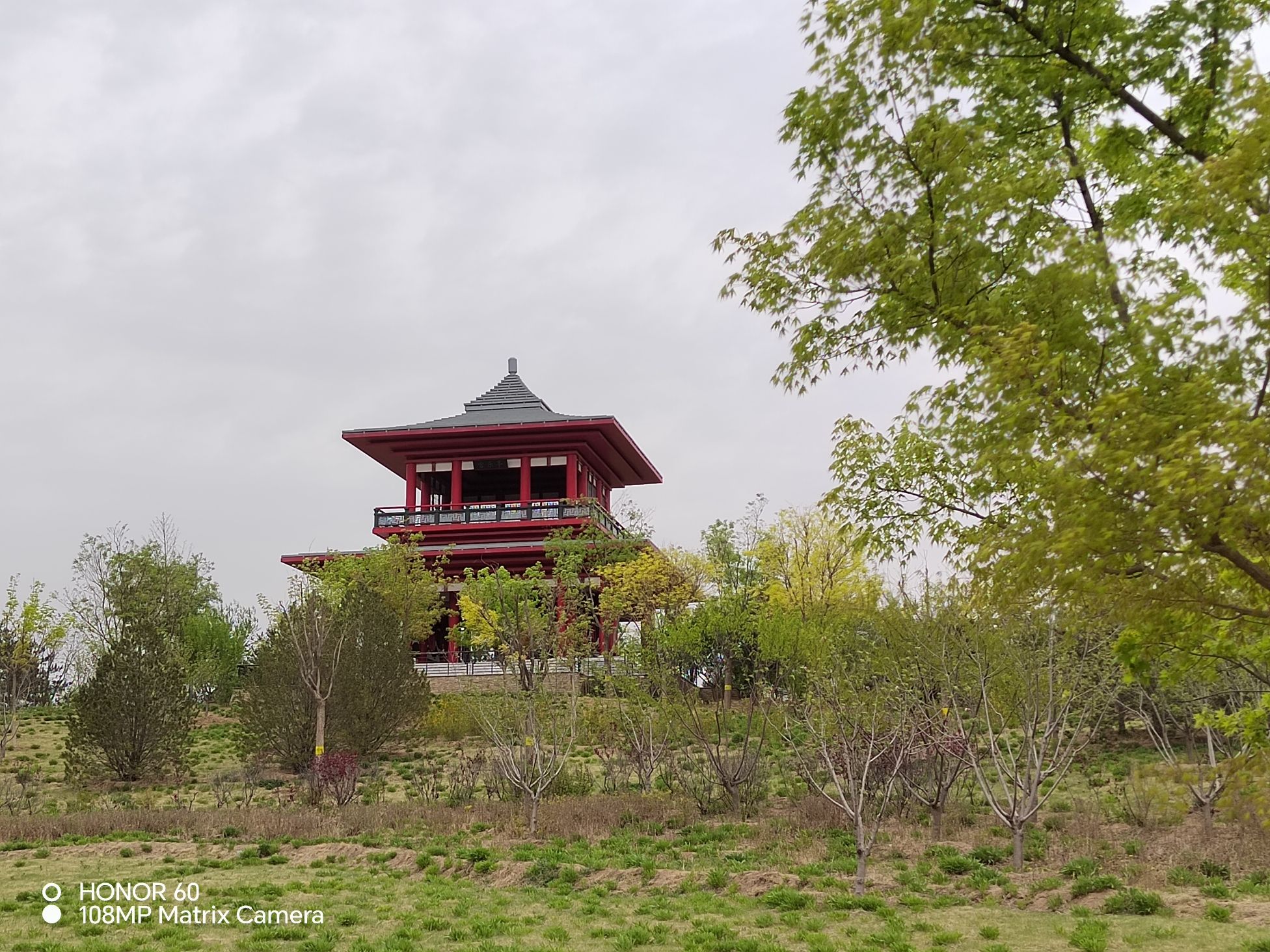 台湖万亩游憩园旅行图片 2