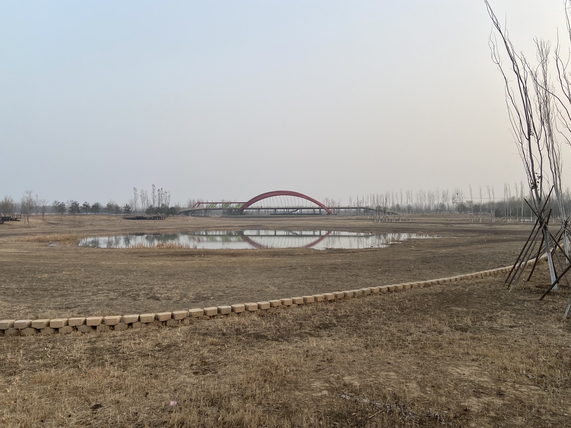 台湖万亩游憩园旅行图片 3