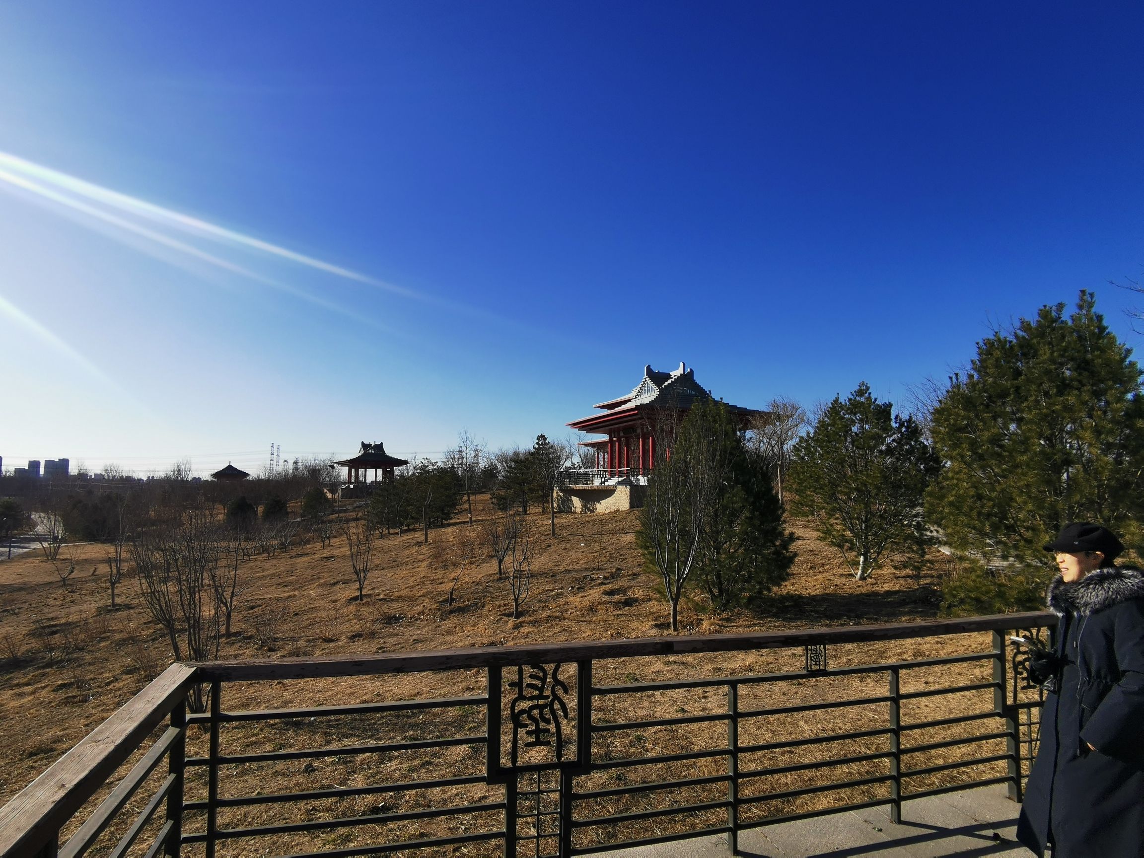台湖万亩游憩园旅行图片 1