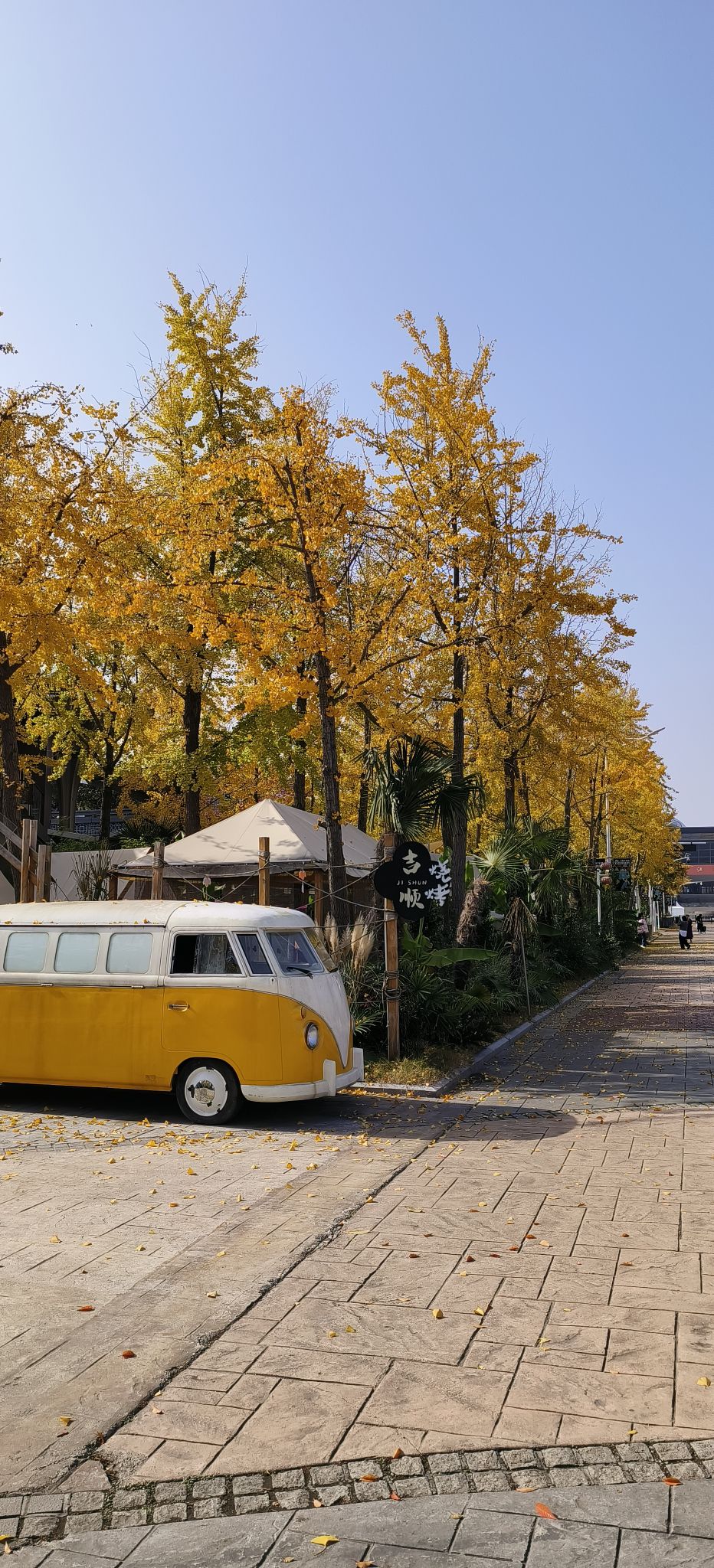 银杏里文化艺术街区旅行图片 1