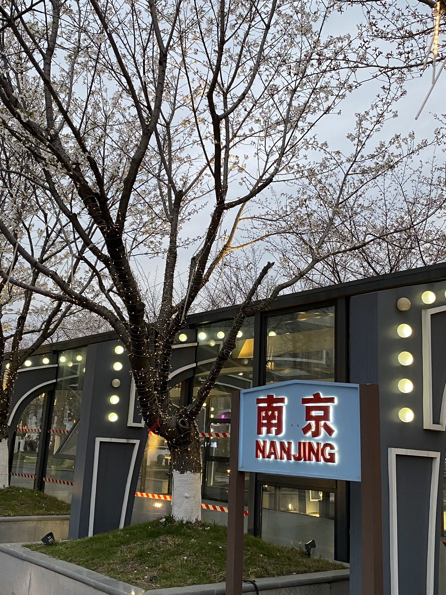 银杏里文化艺术街区旅行图片 2