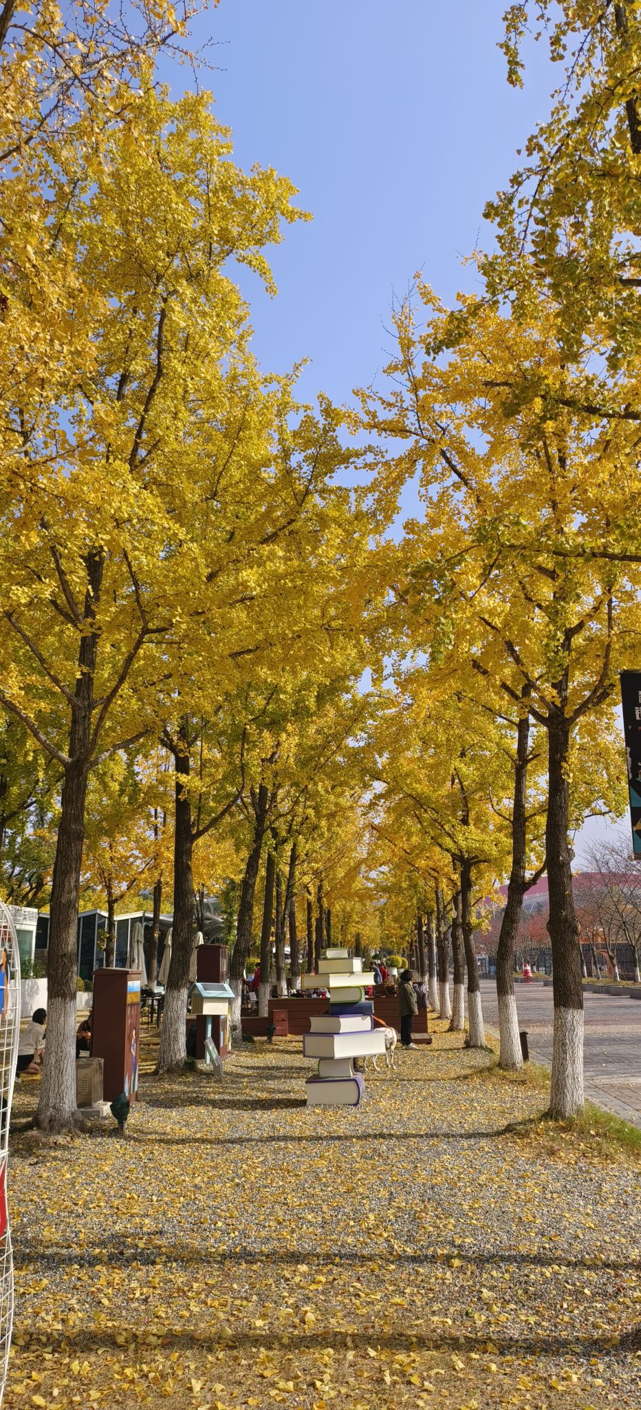 银杏里文化艺术街区旅行图片 3