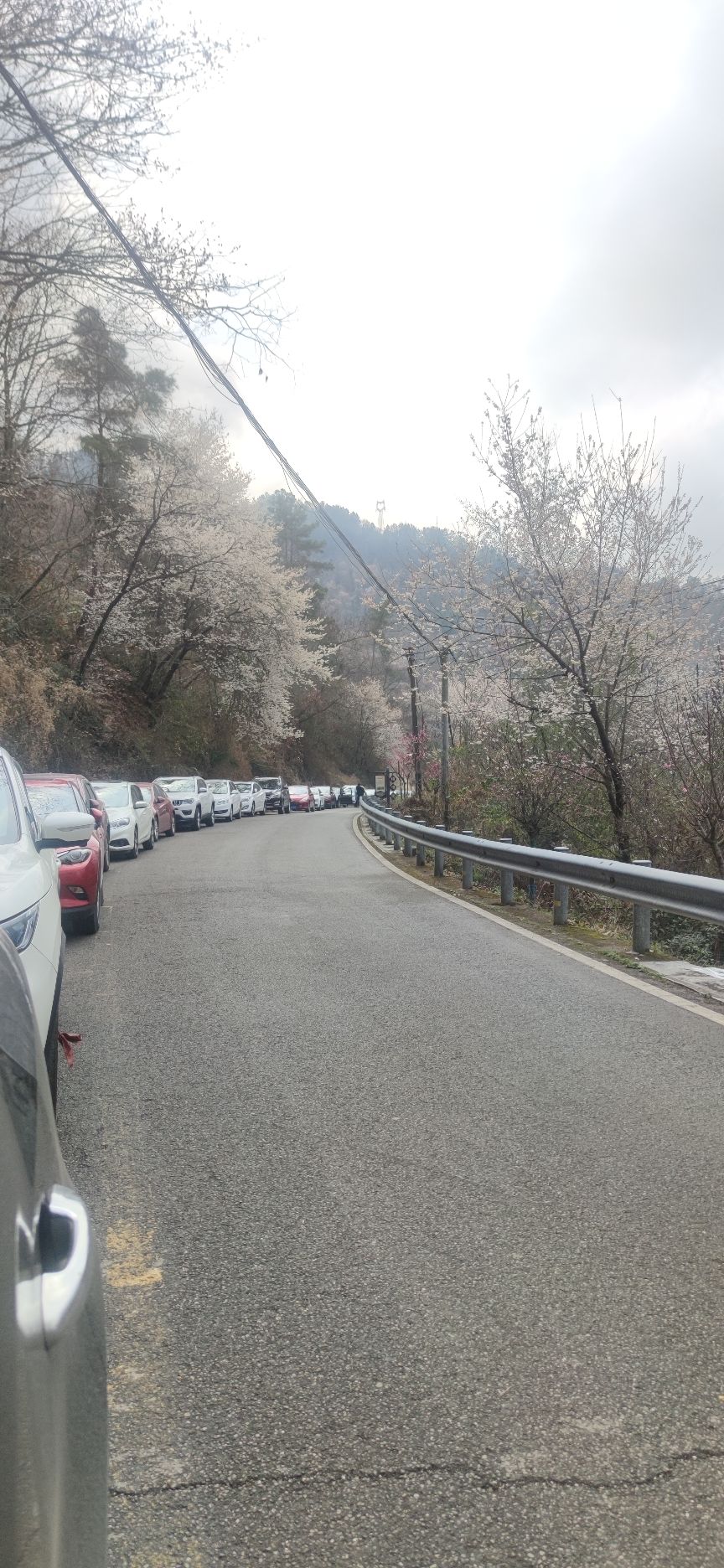 印象梅林景区旅行图片 1
