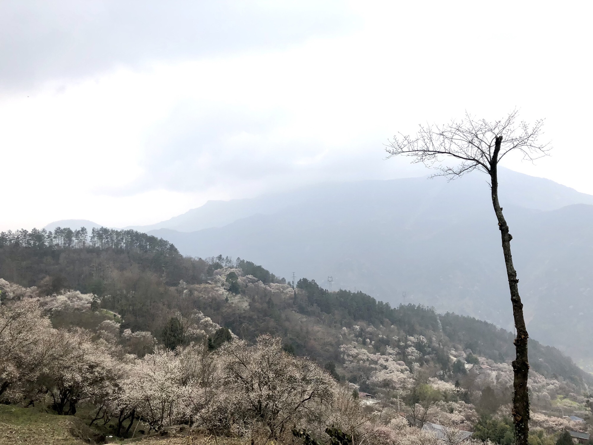 印象梅林景区旅行图片 3