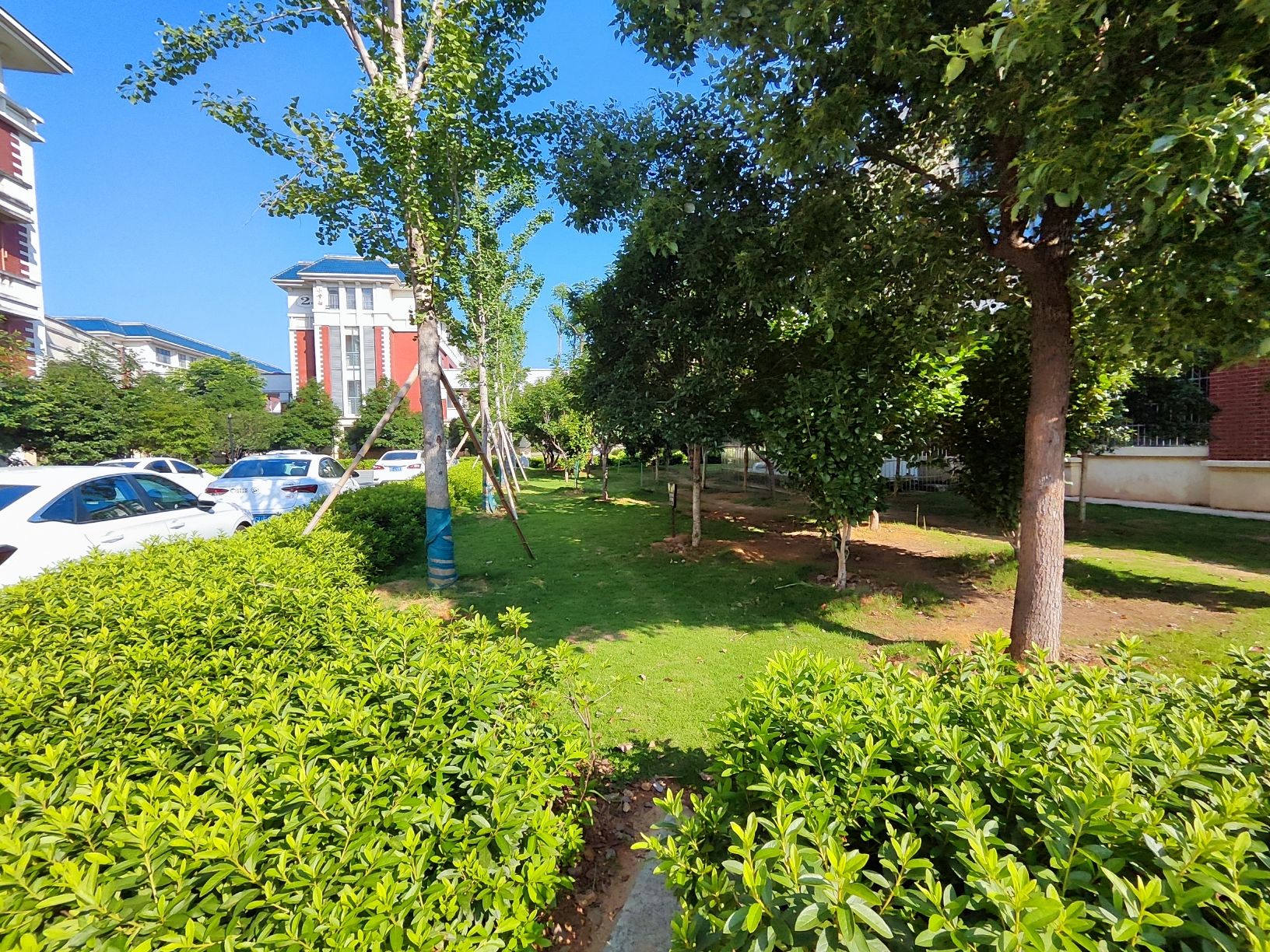 大畲乡村旅游点旅行图片 2