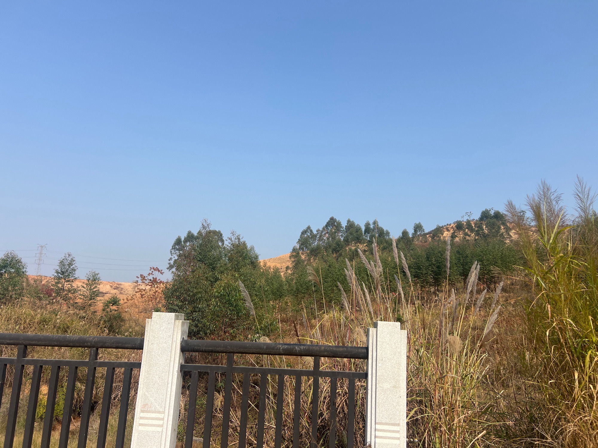 柳州市柳东百花岭旅行图片 2