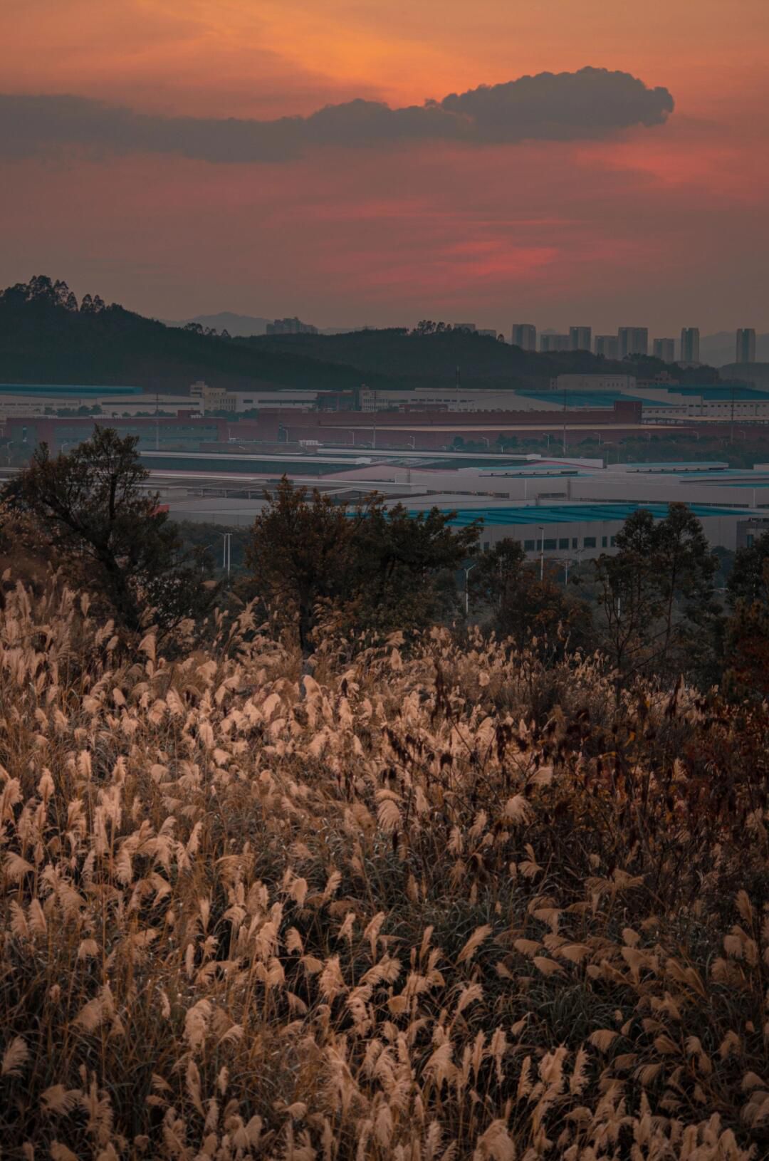 柳州市柳东百花岭旅行图片 2