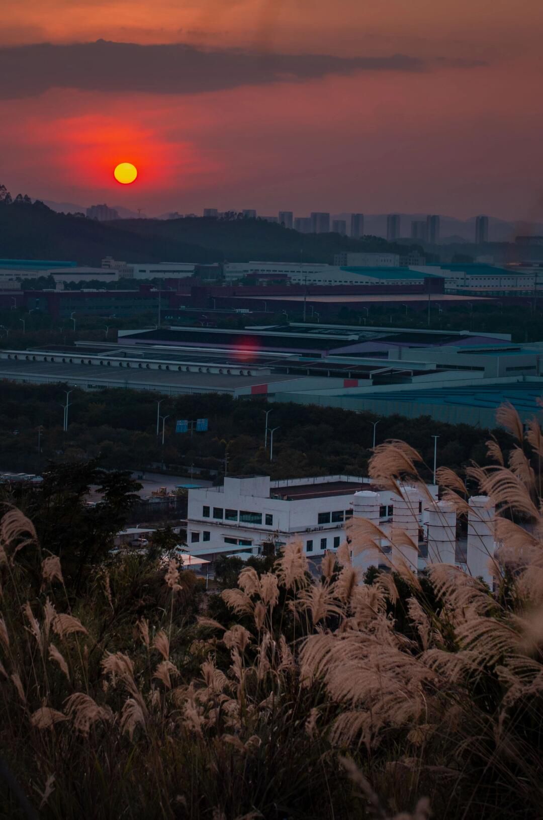 柳州市柳东百花岭旅行图片 3