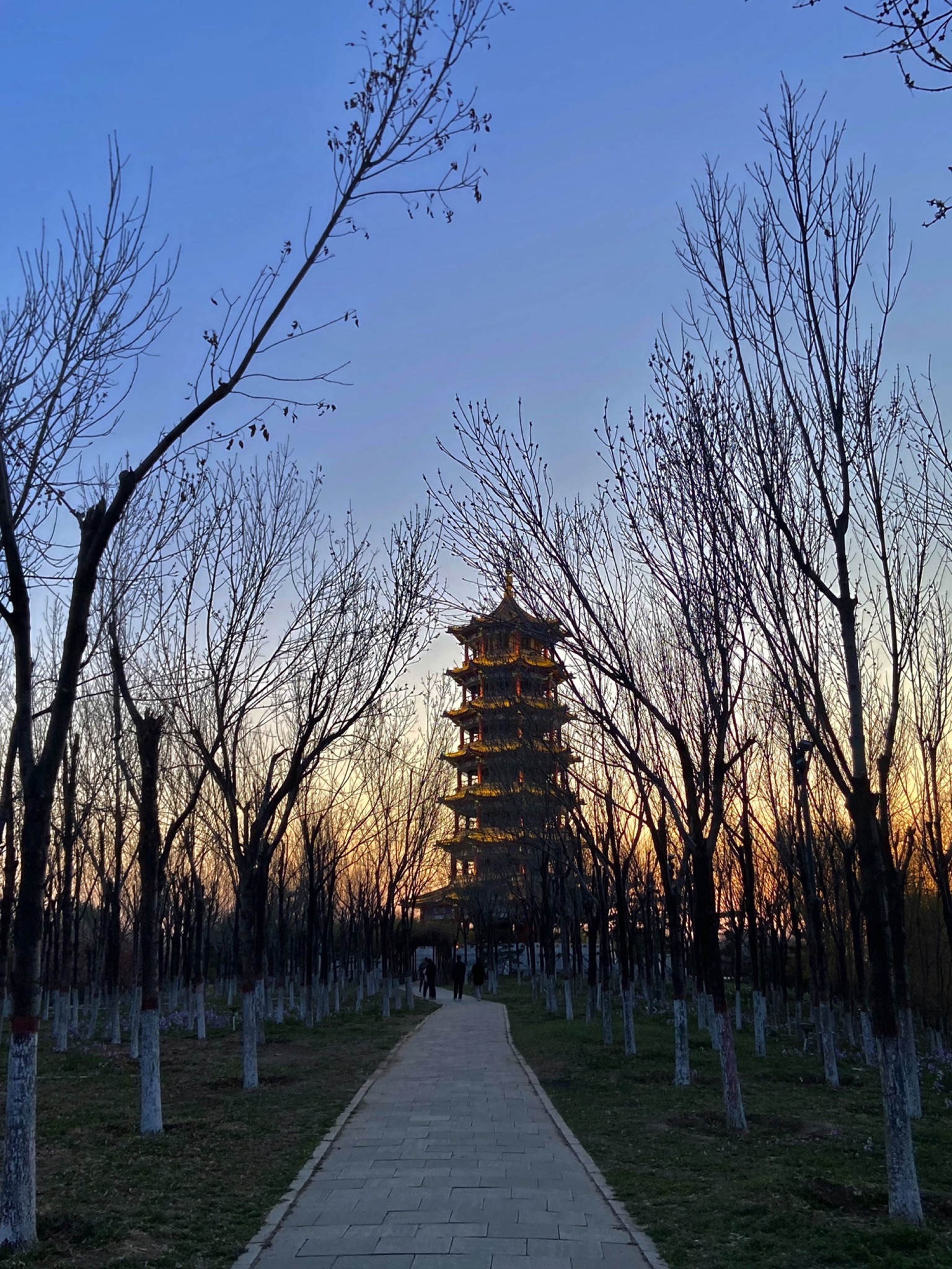揽秀塔旅行图片 1