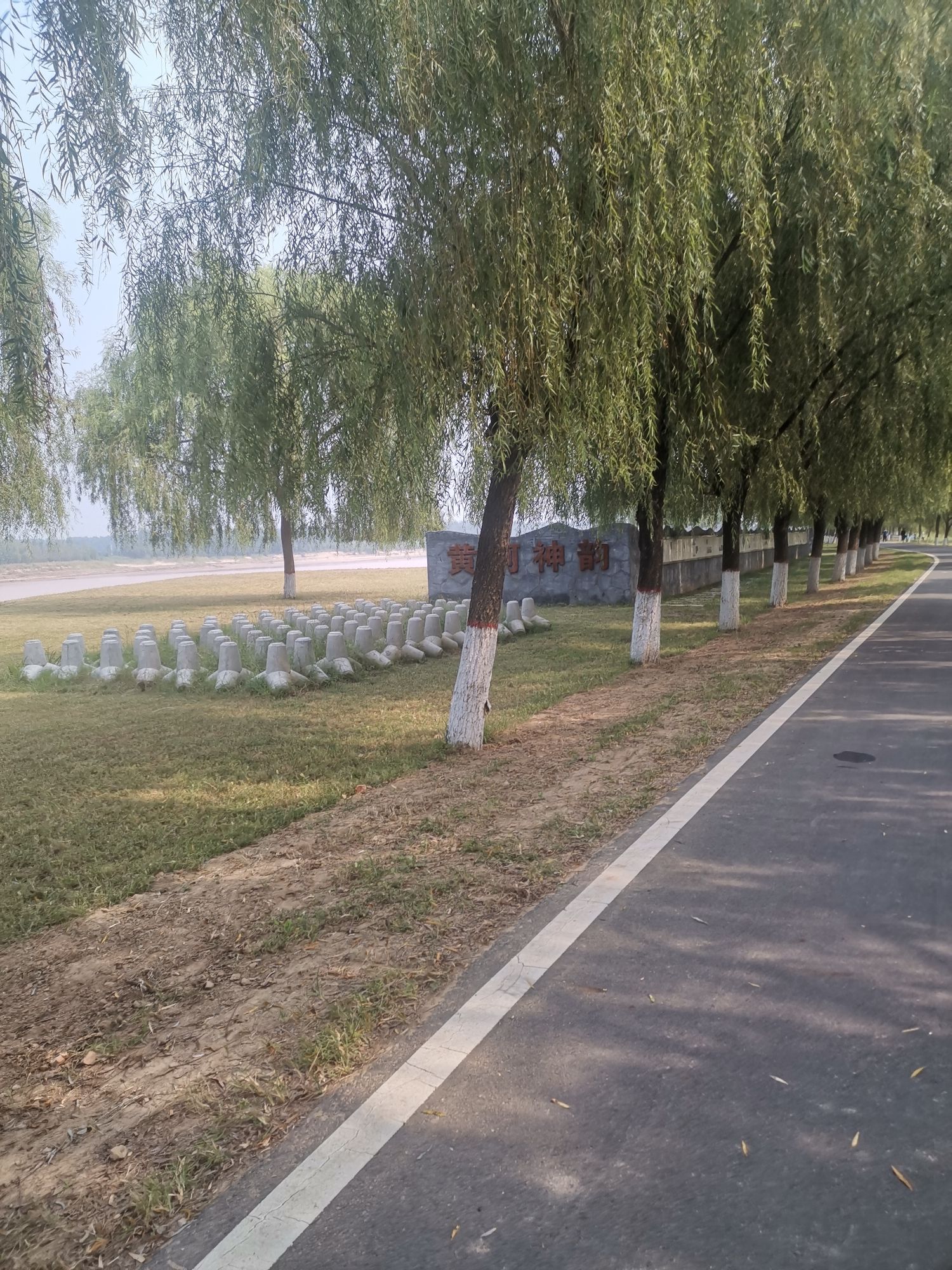 齐东古城遗址公园旅行图片 3