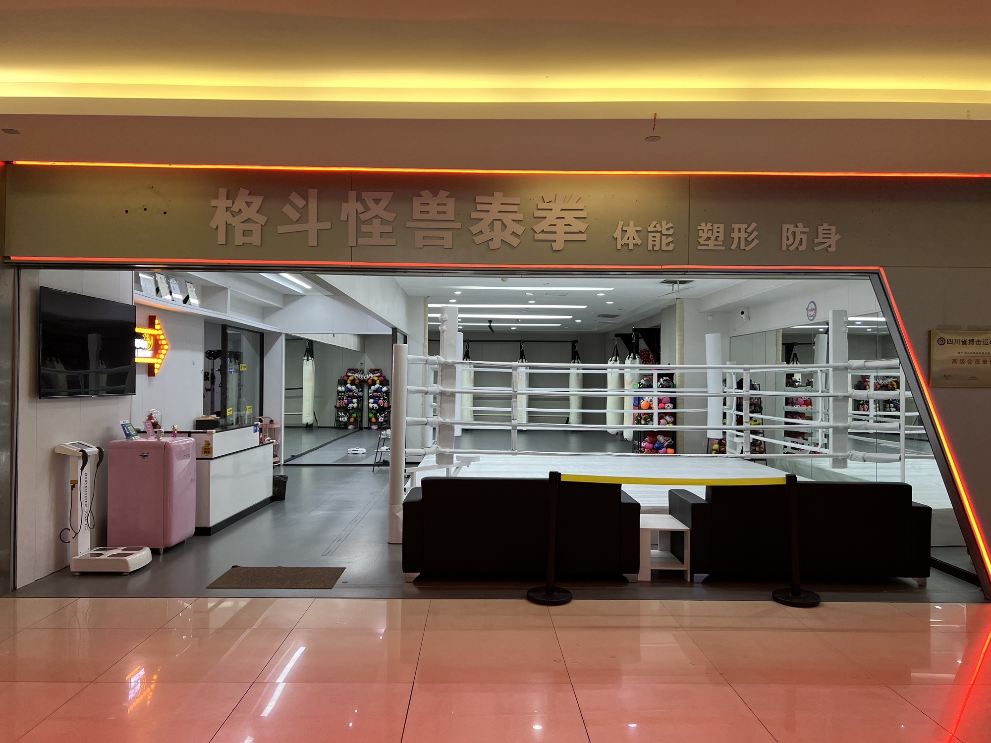 场地封面-格斗怪兽泰拳馆(新城市广场店)