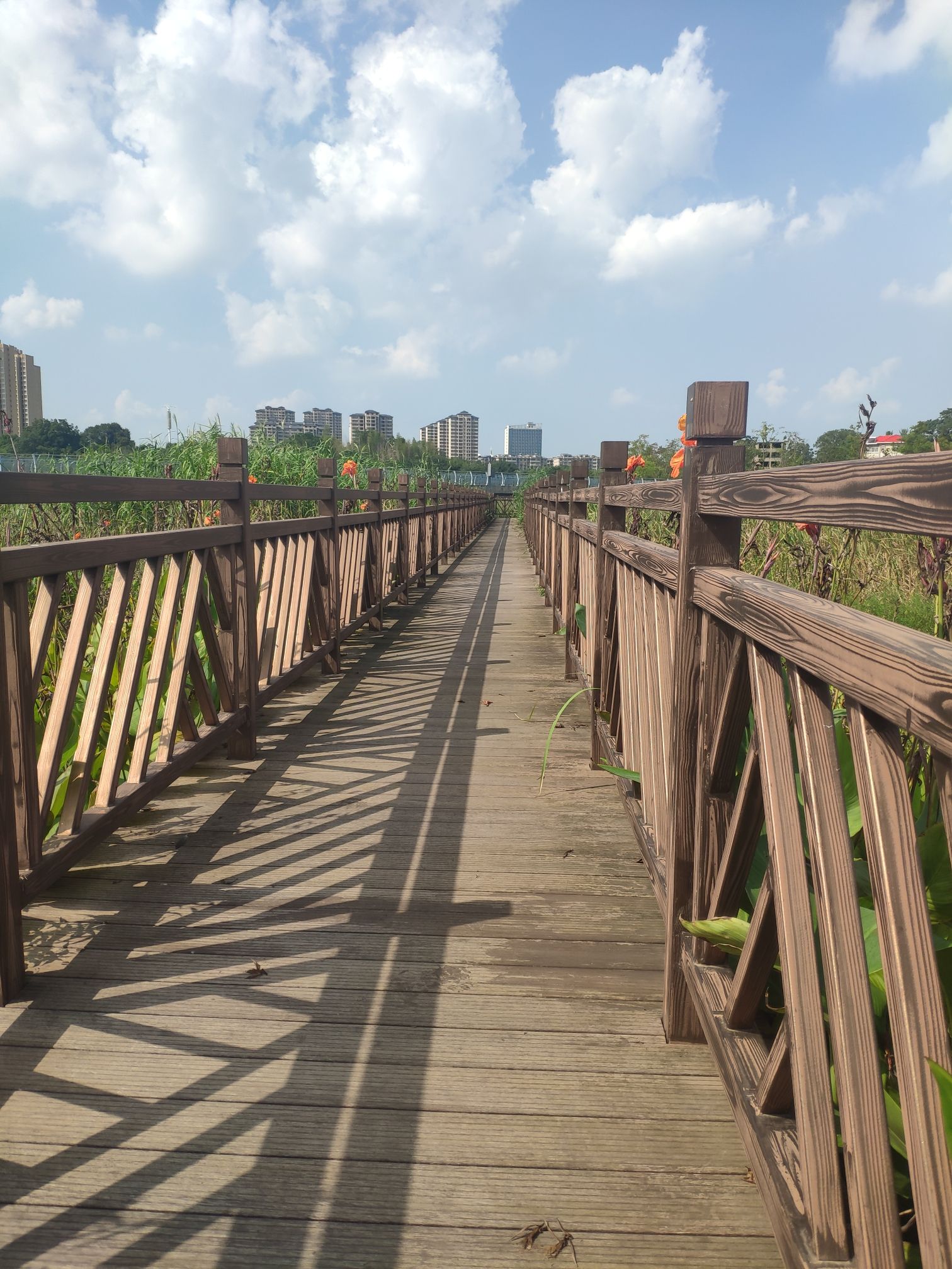 芳兰湖景区旅行图片 1