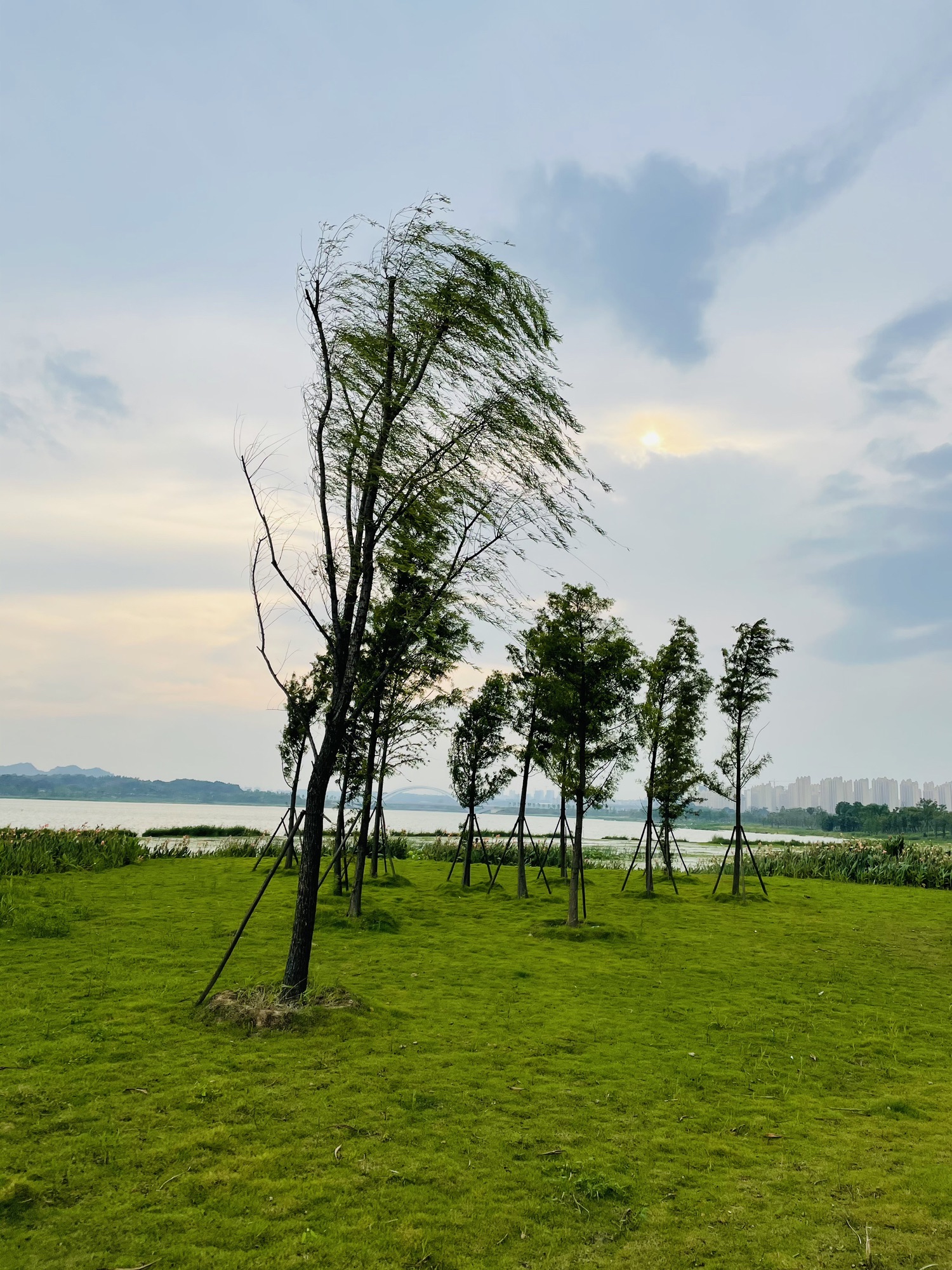 芳兰湖景区旅行图片 1