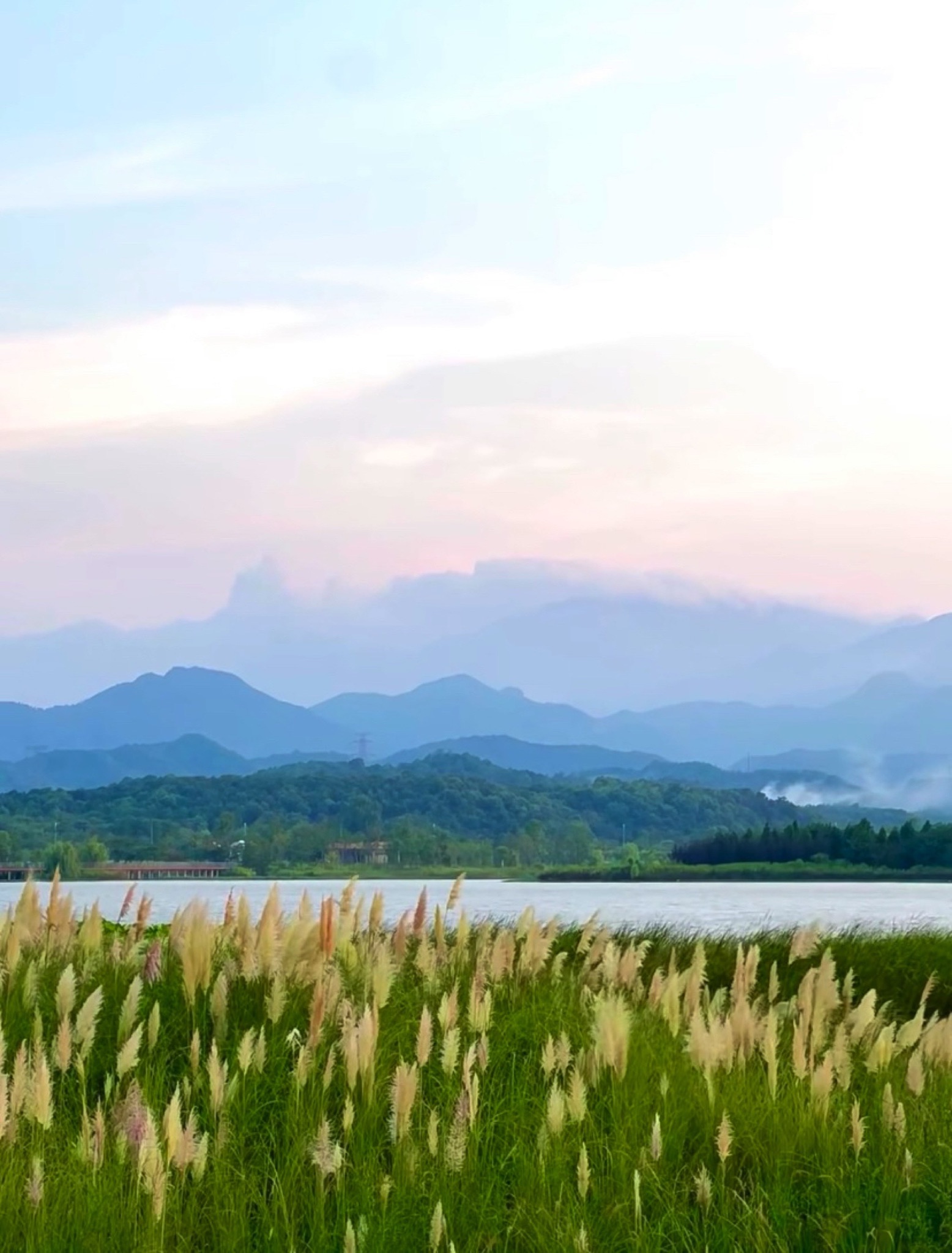 芳兰湖景区旅行图片 1