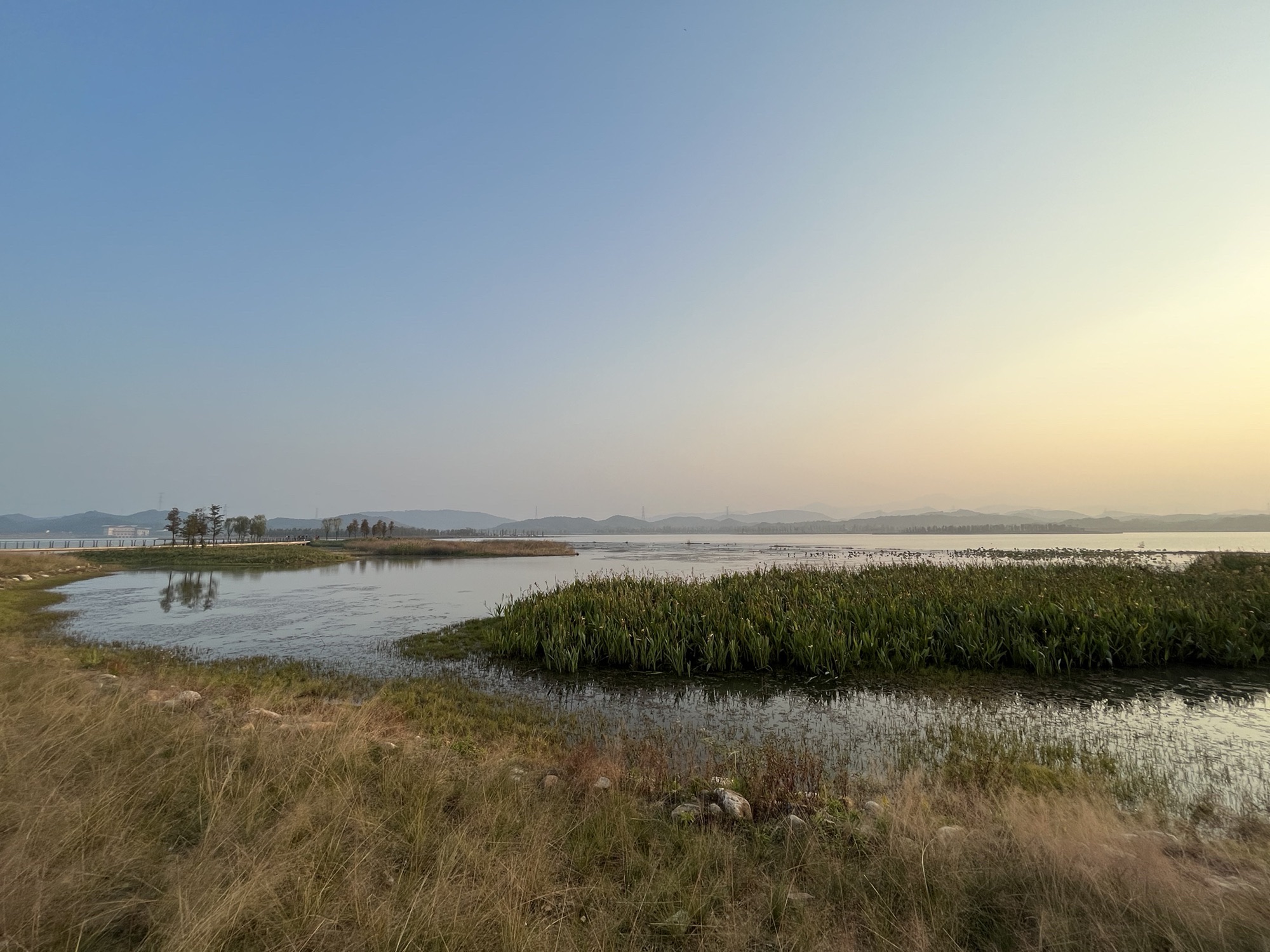 芳兰湖景区