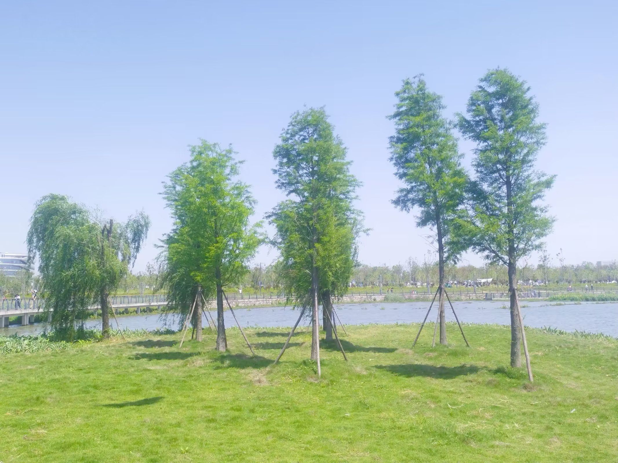 芳兰湖景区旅行图片 1