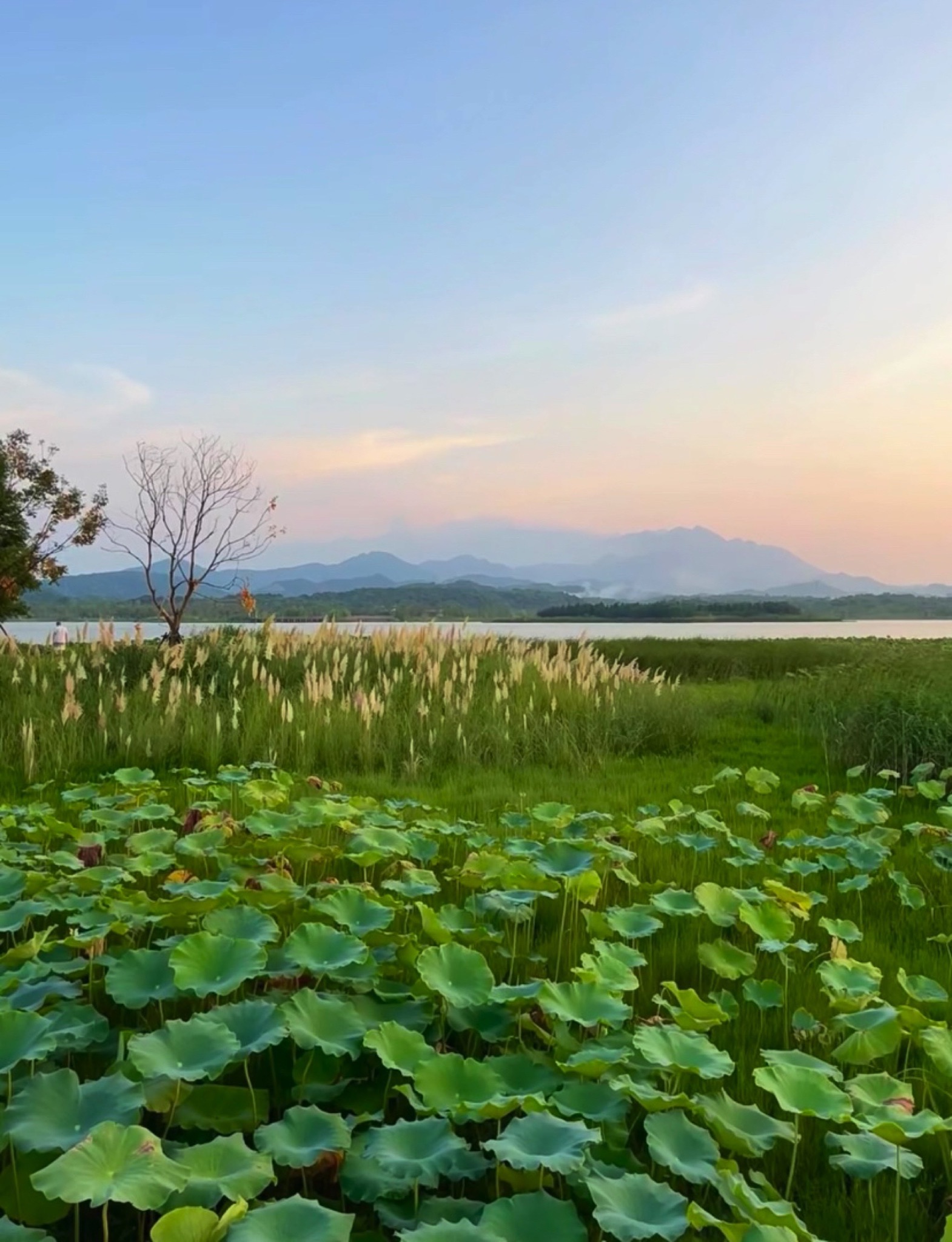 芳兰湖景区旅行图片 2