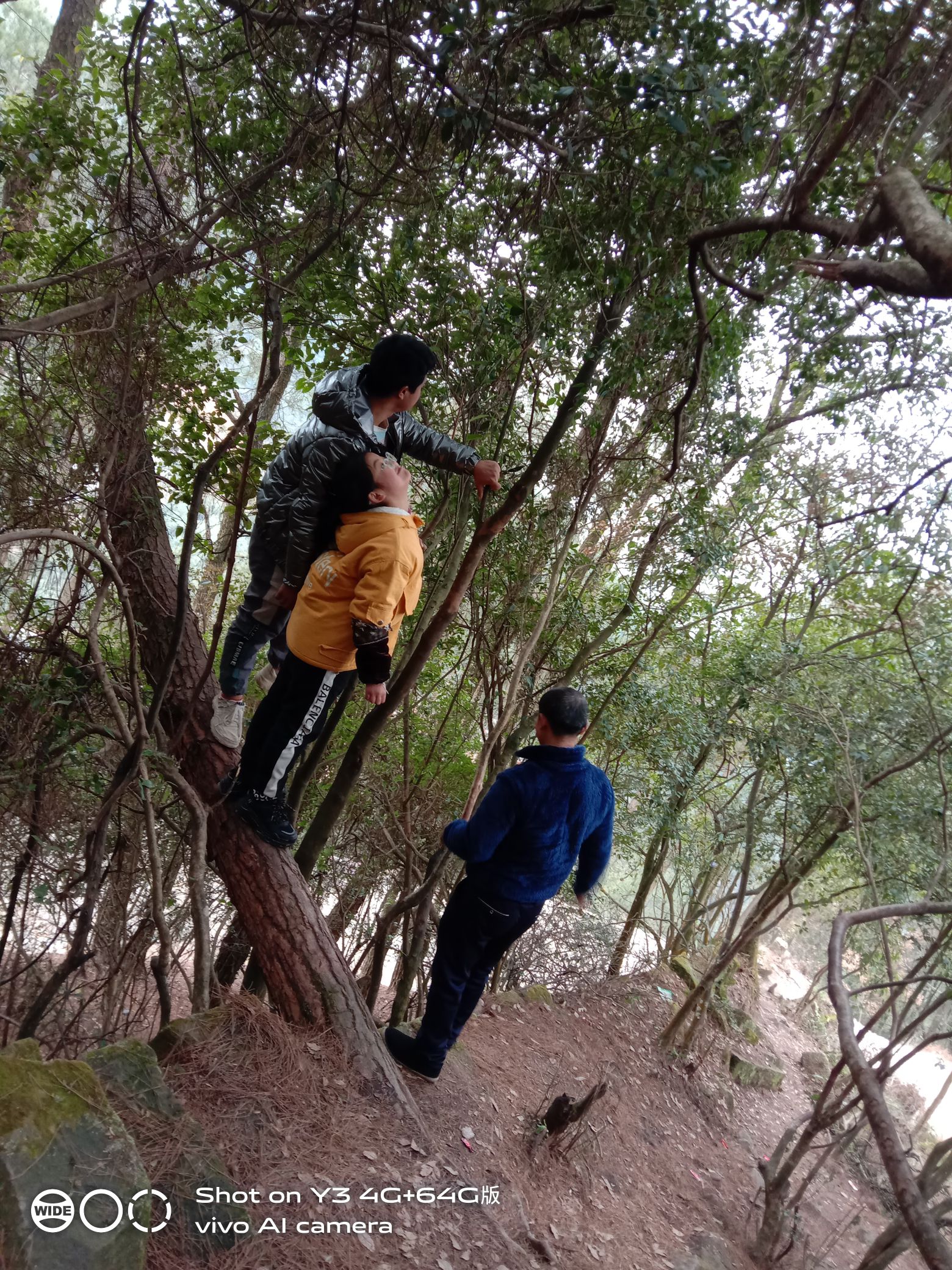 天鹰寨风景区旅行图片 1