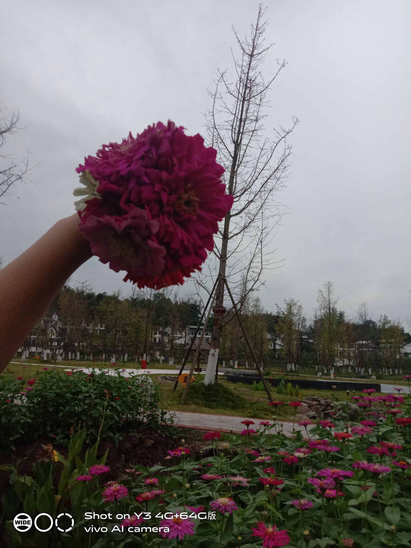 天鹰寨风景区旅行图片 3