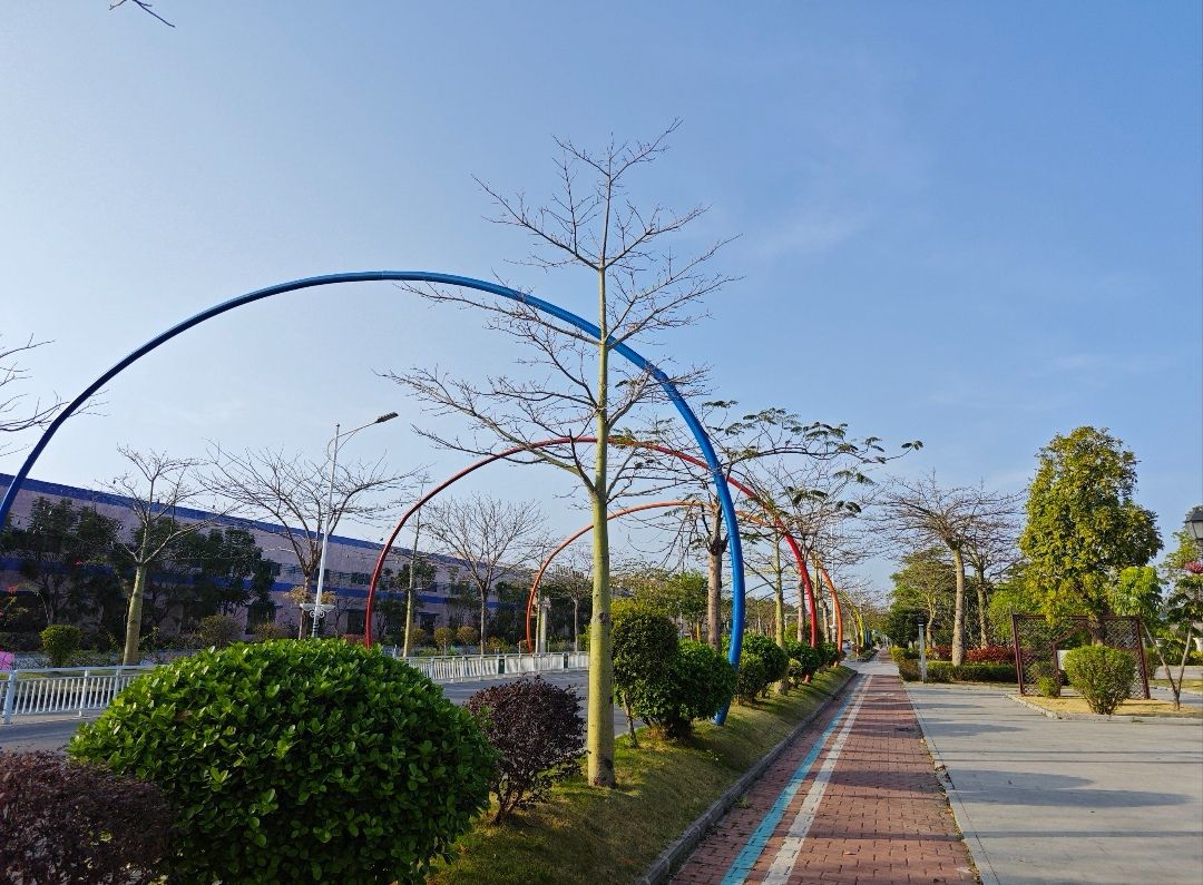 紫南文化旅游区旅行图片 2