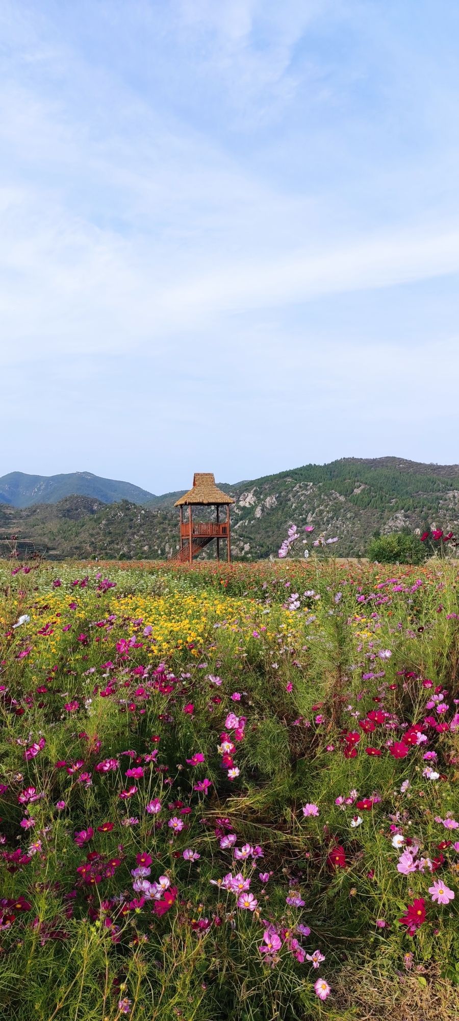 太行渡口花乐园景区旅行图片 2