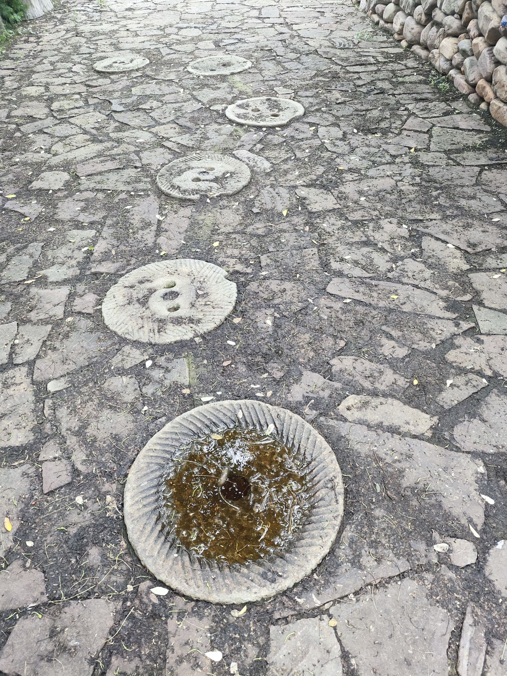 太行渡口花乐园景区旅行图片 1