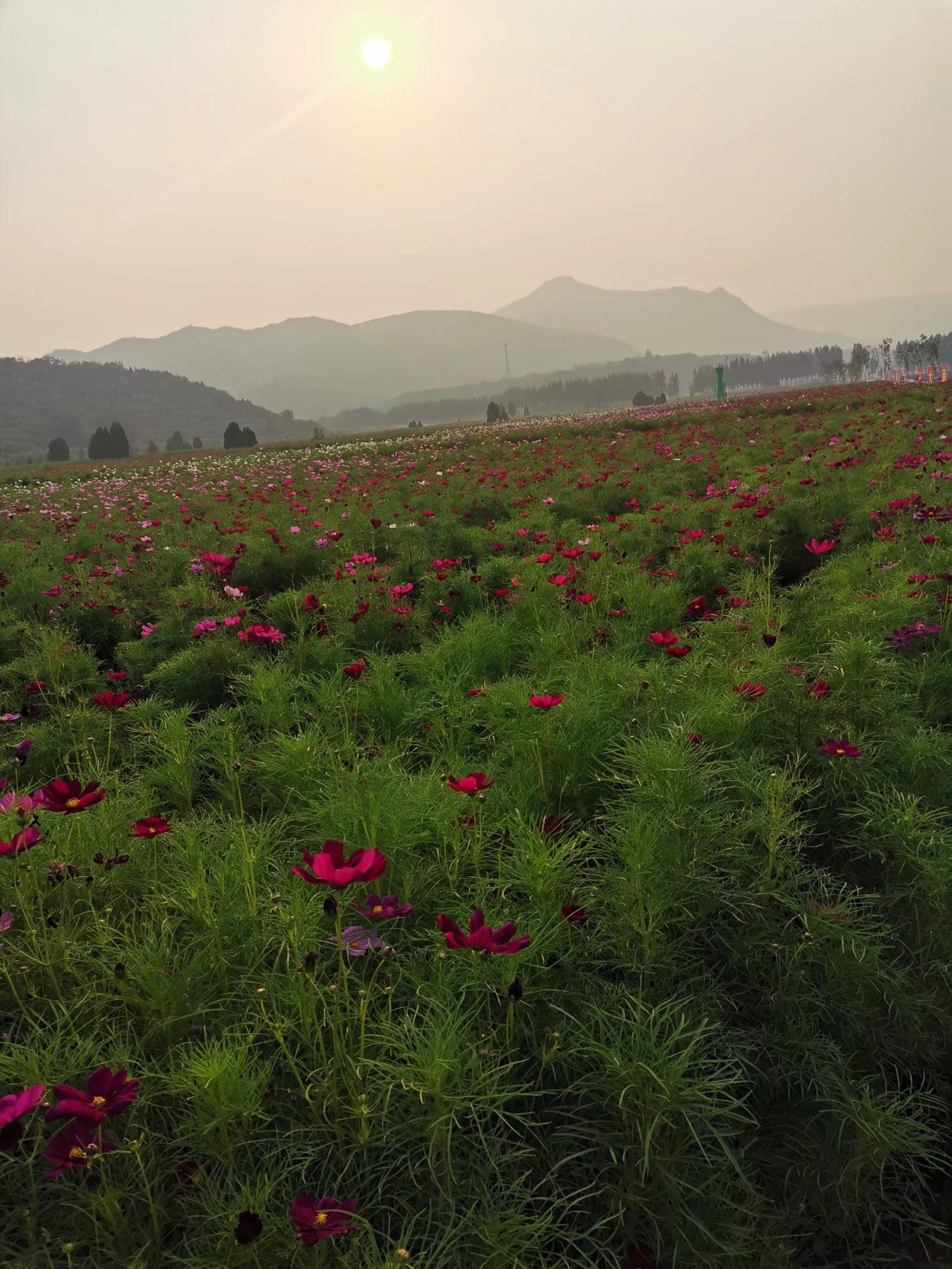 太行渡口花乐园景区旅行图片 1