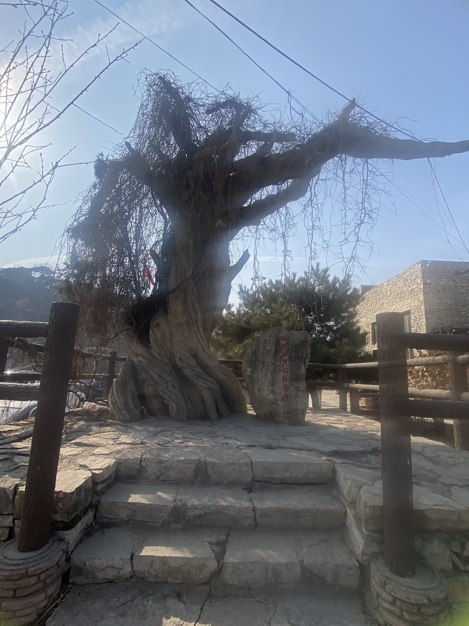 西井峪文化艺术村旅行图片 1