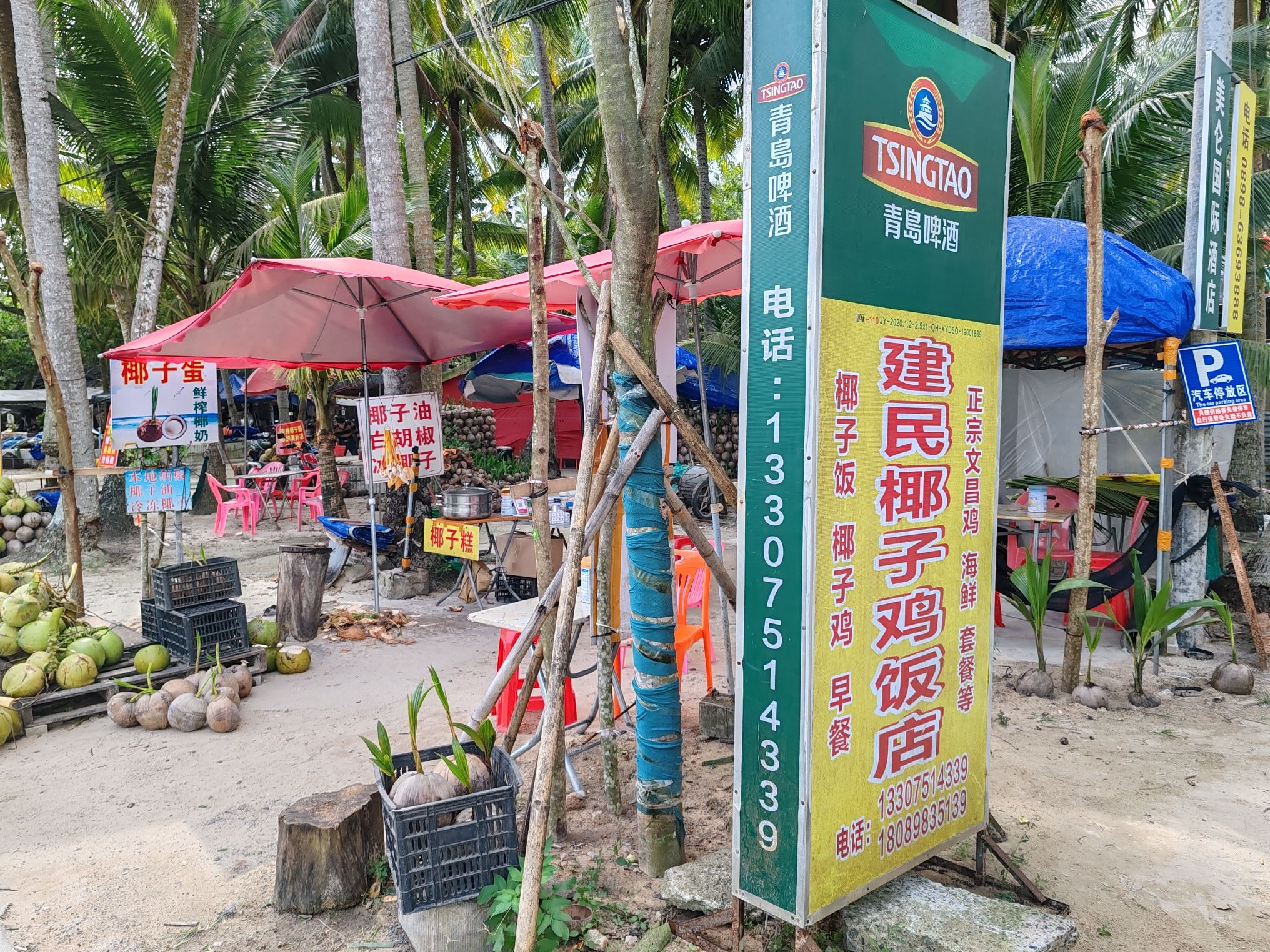 建民椰子鸡饭店
