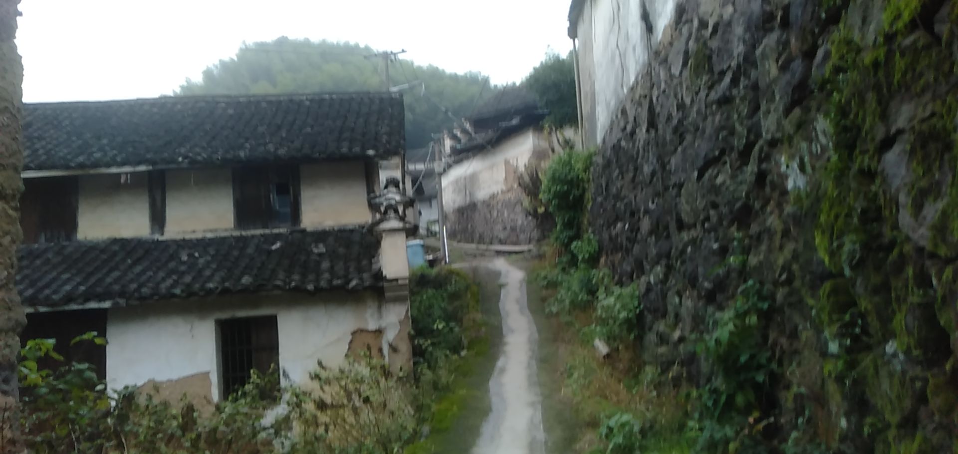 叶家山顶游步道旅行图片 1